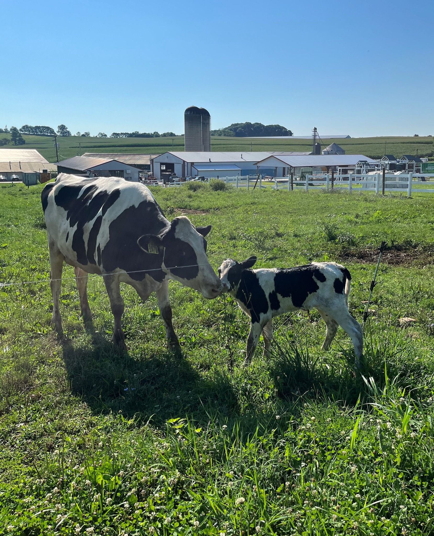 South Mountain Creamery Middletown