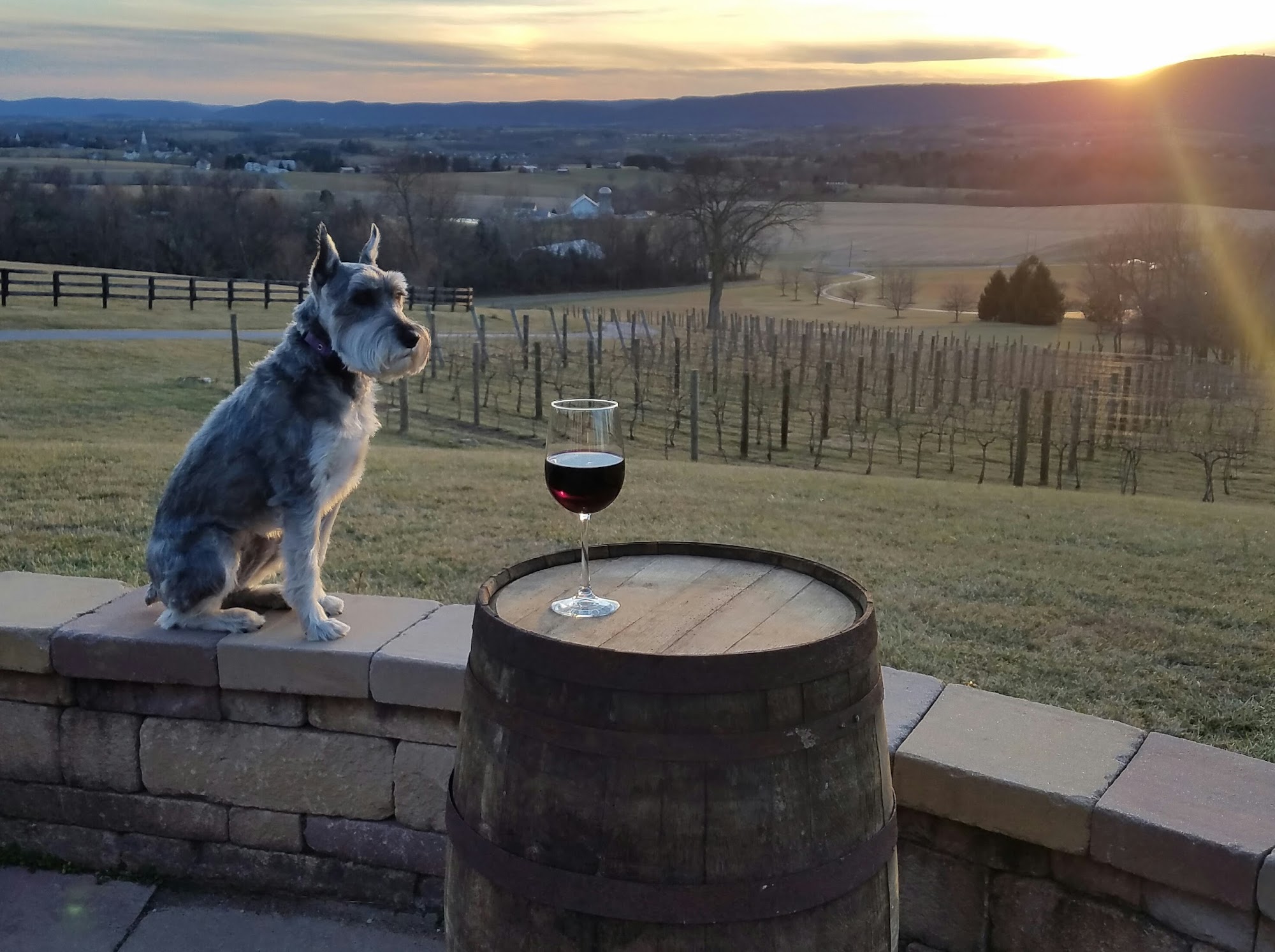 Mazzaroth Vineyard Menu