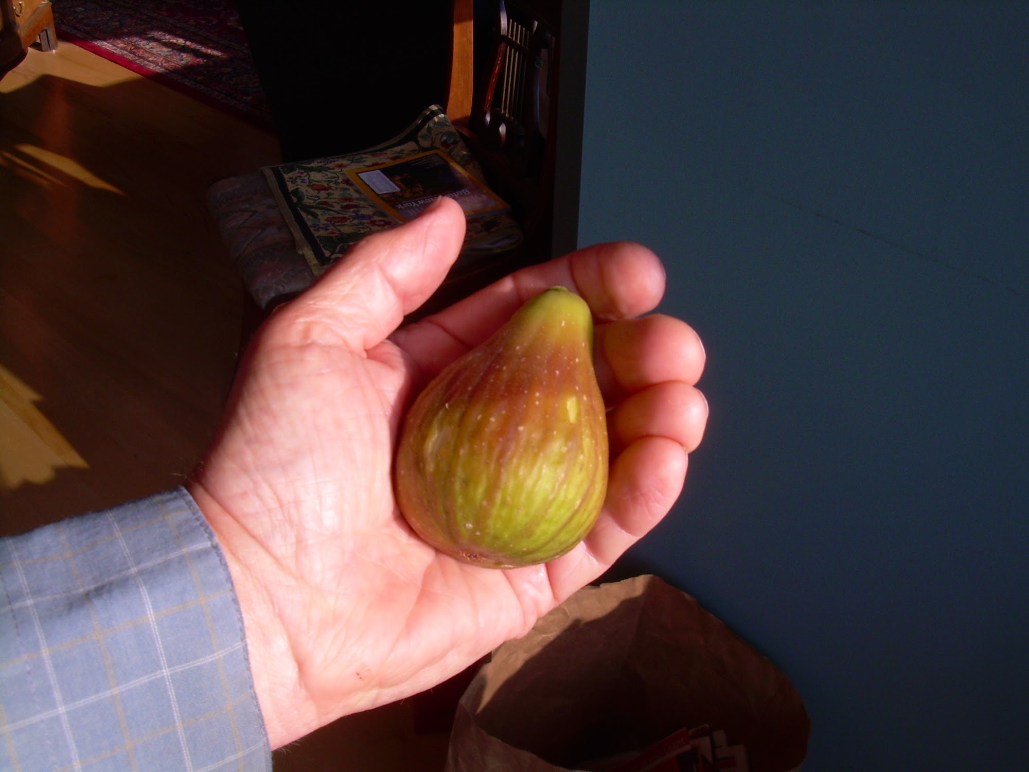 Willow Oaks Craft Cider and Wine Middletown