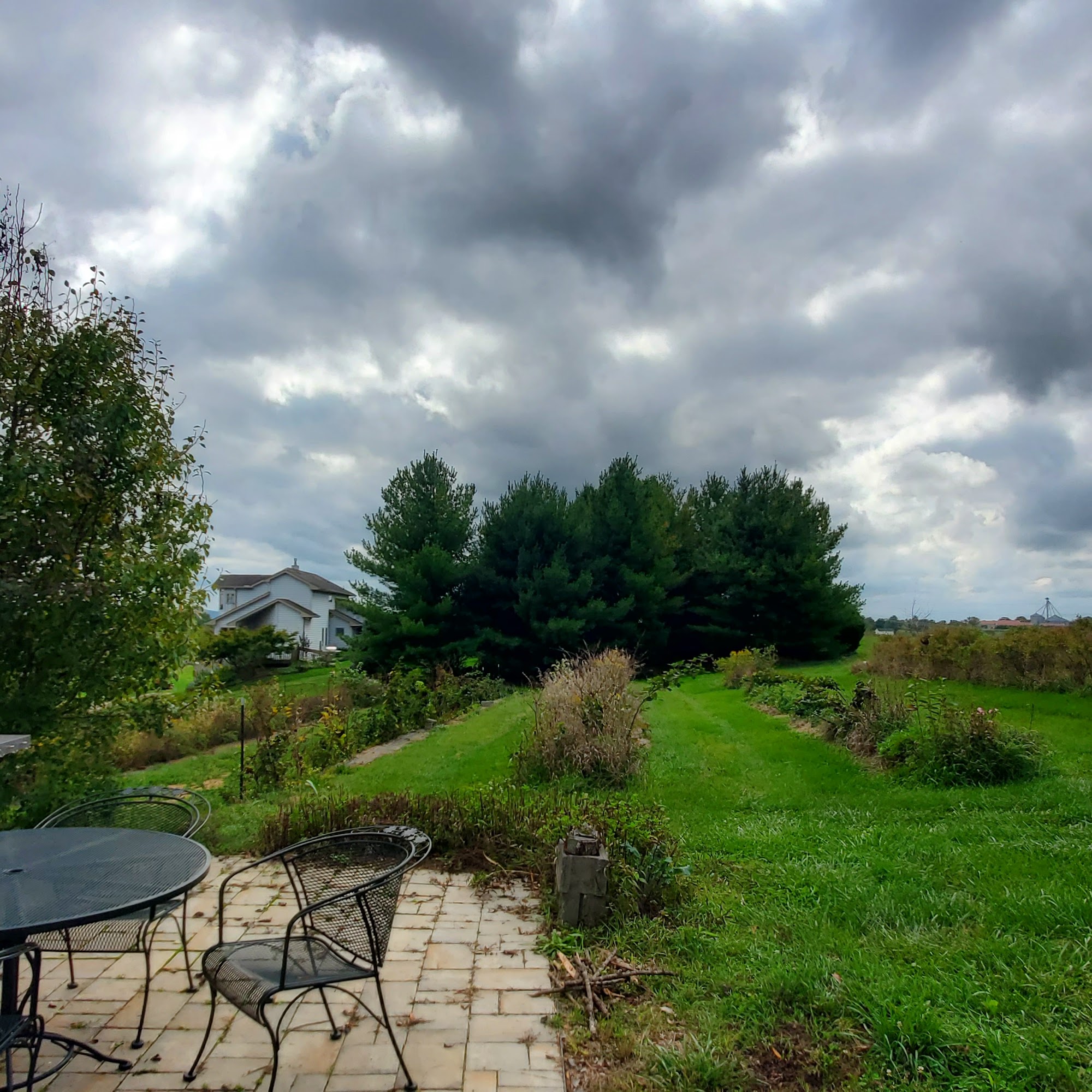 Willow Oaks Craft Cider and Wine Middletown