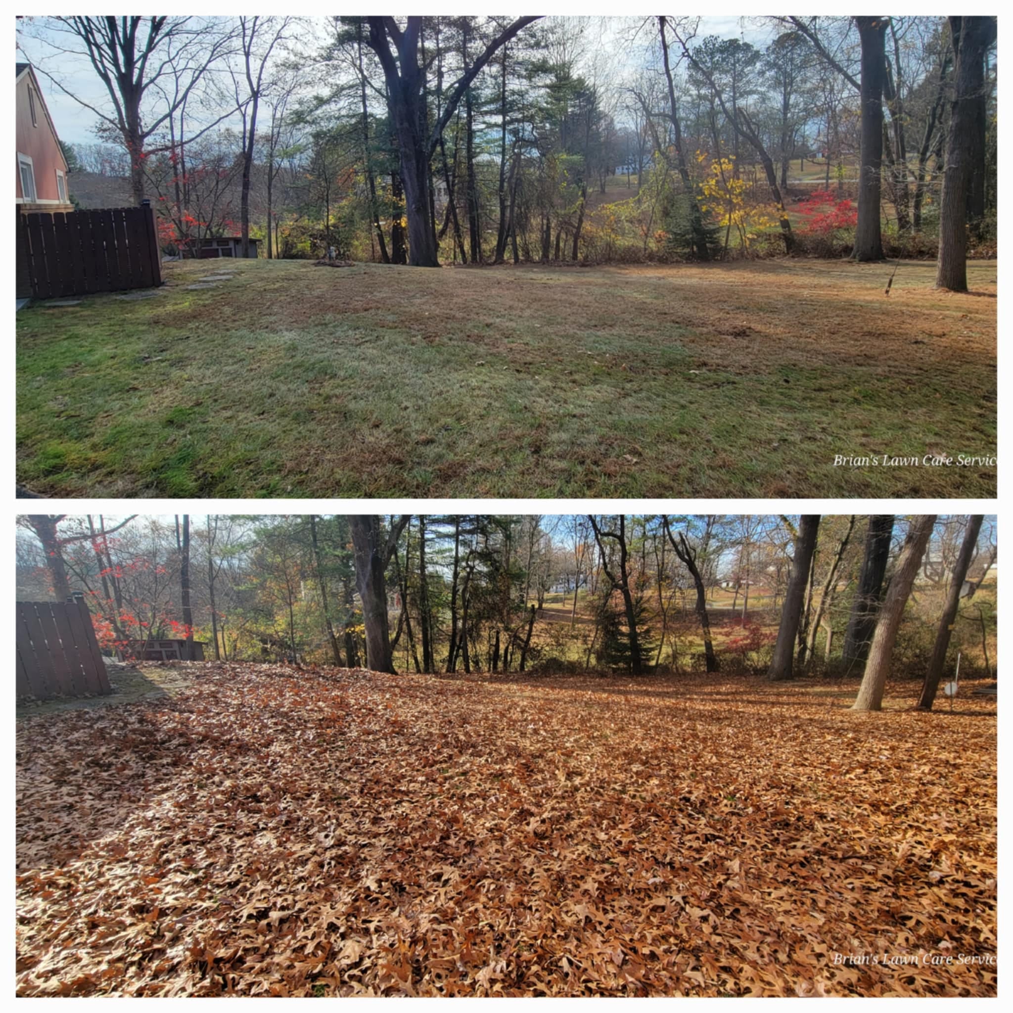 Brian's Lawn Service