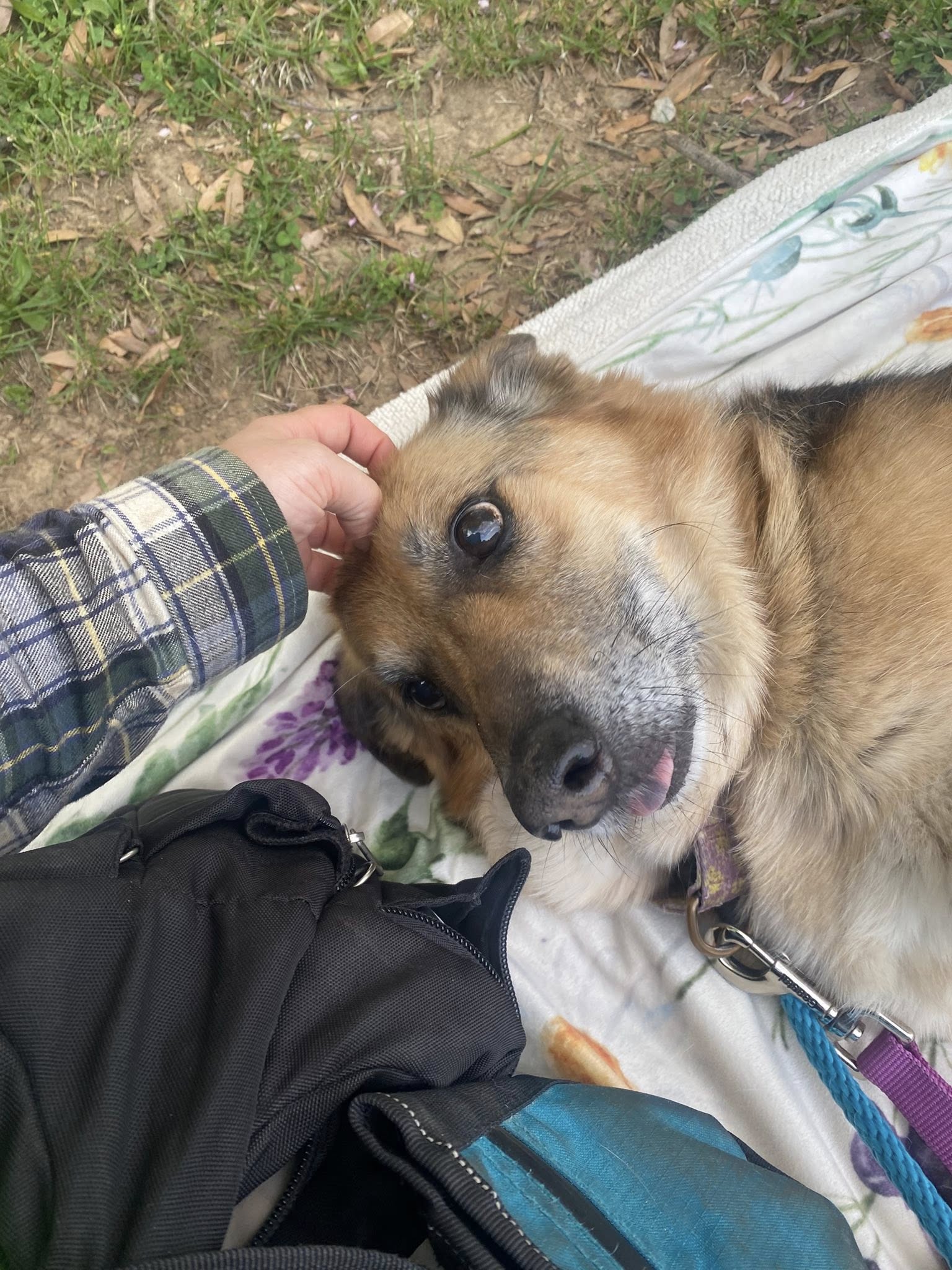 Furst Choice Petcare Monkton