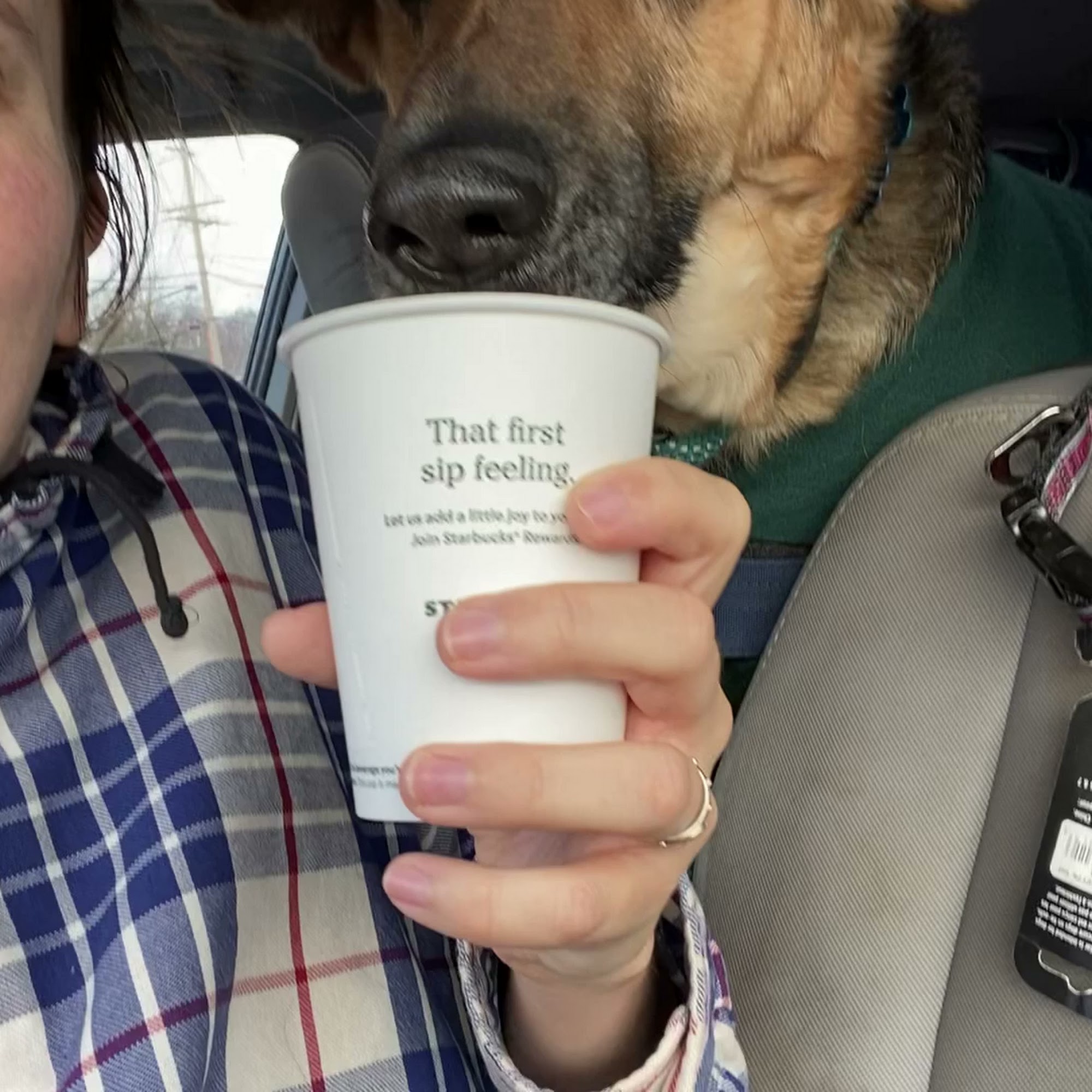 Furst Choice Petcare Monkton