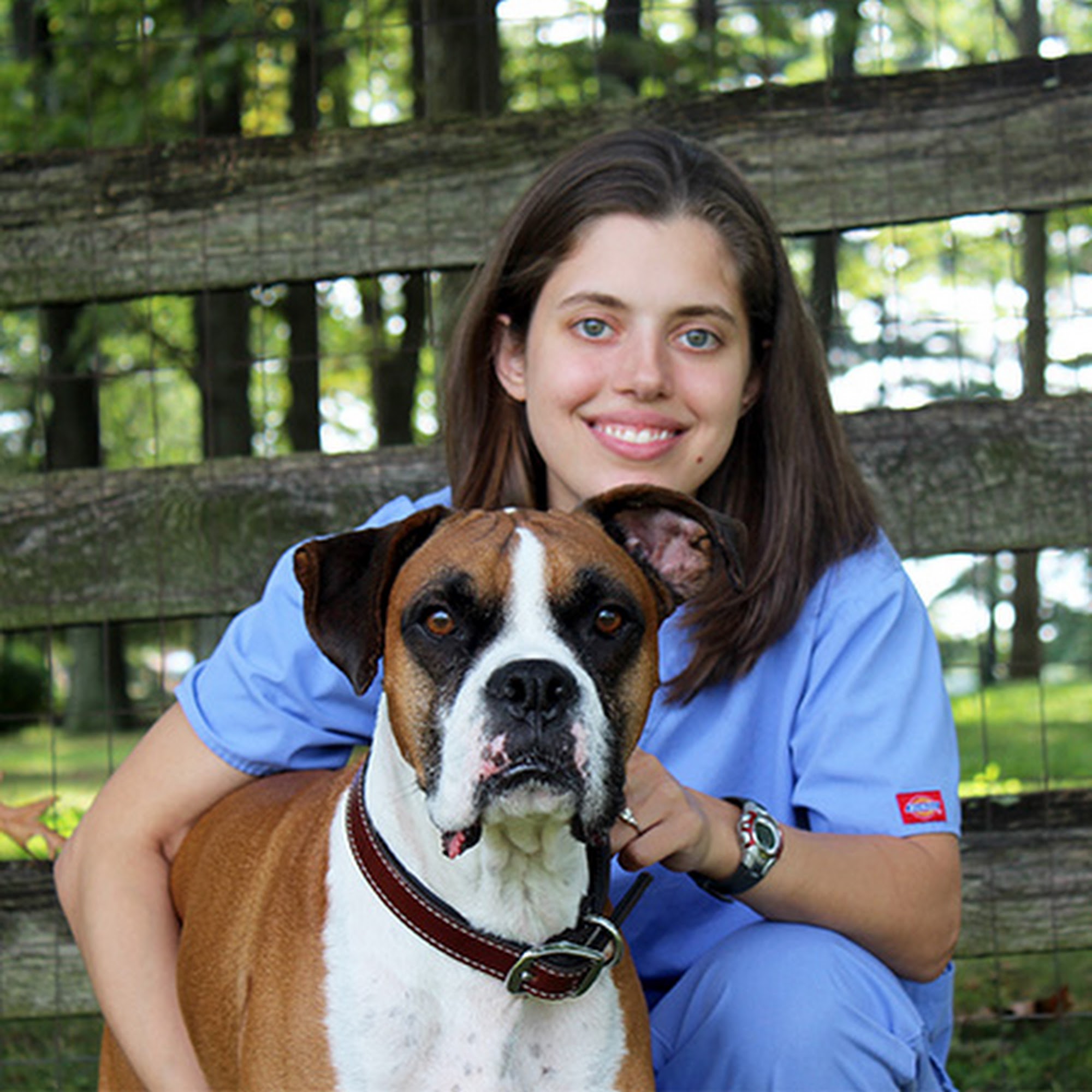 Country Veterinary Hospital Mount Airy