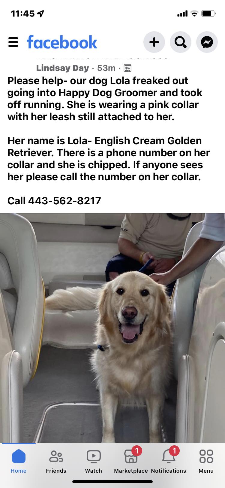 Photo credit: facebook