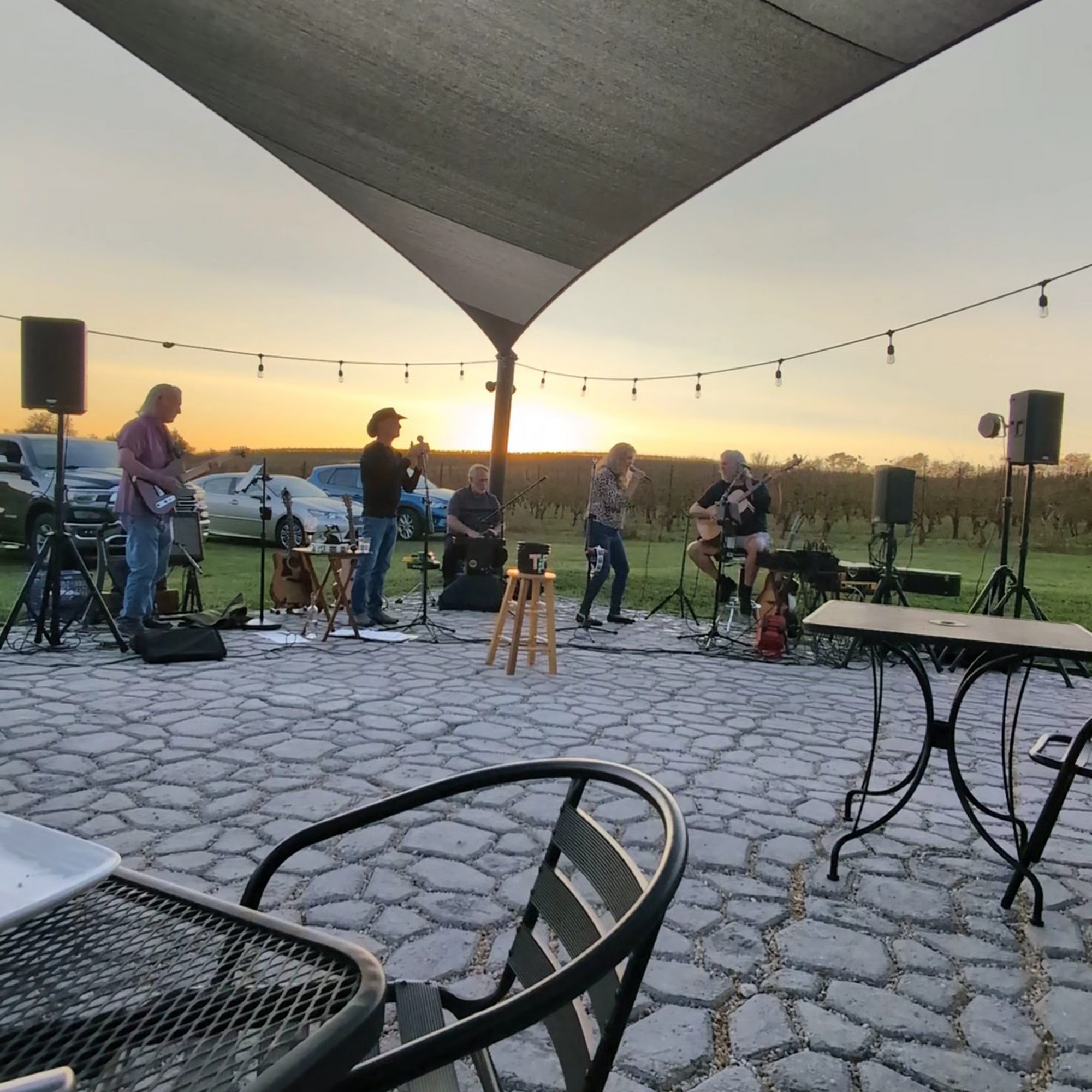 Black Ankle Vineyards Mount Airy