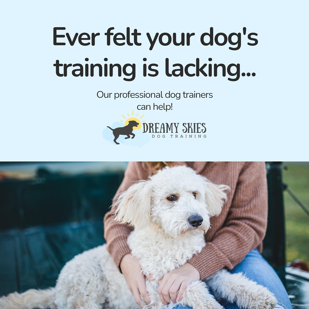 Dreamy Skies Dog Training Mount Airy