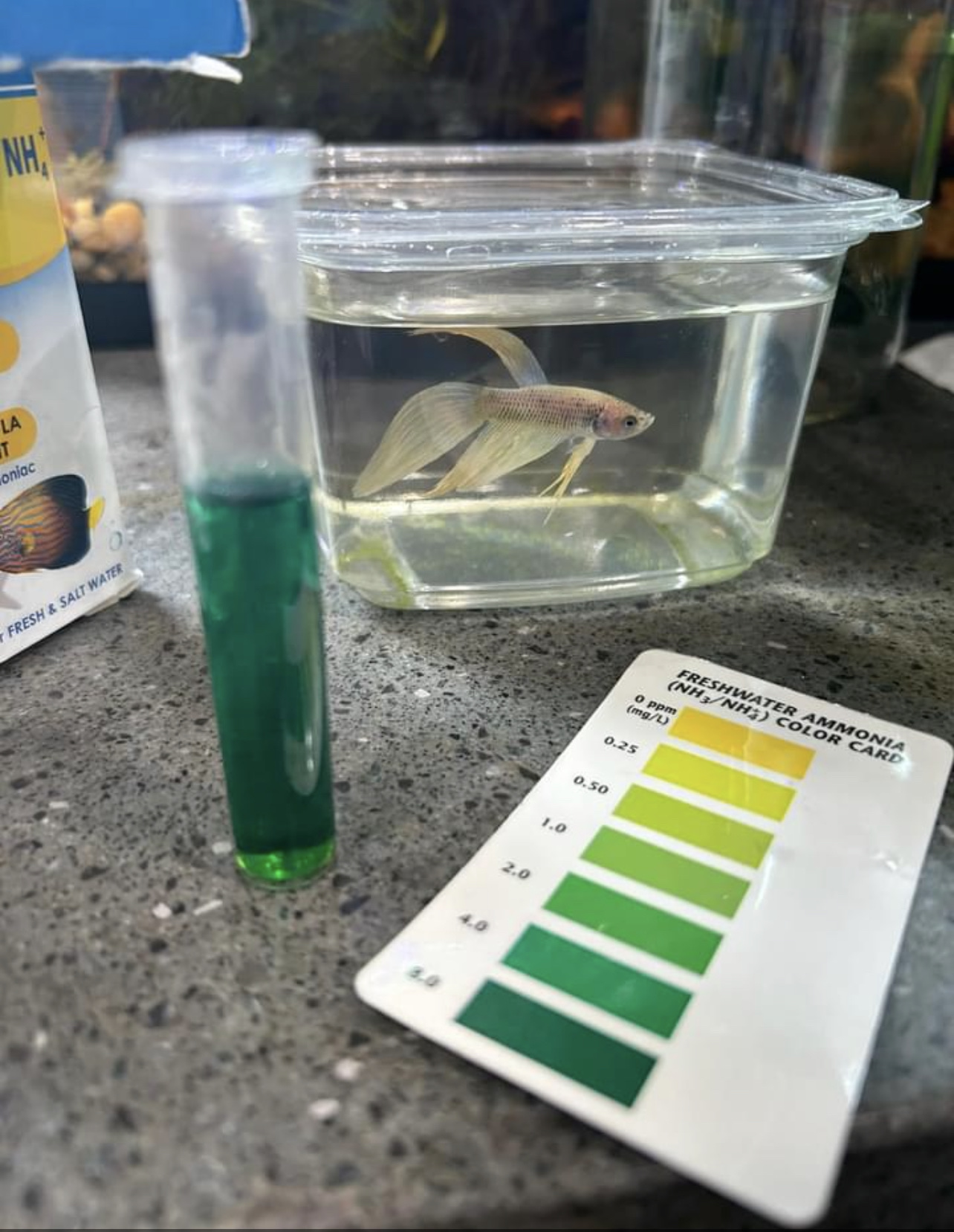 Pet Supplies Plus Mt Airy East Mount Airy