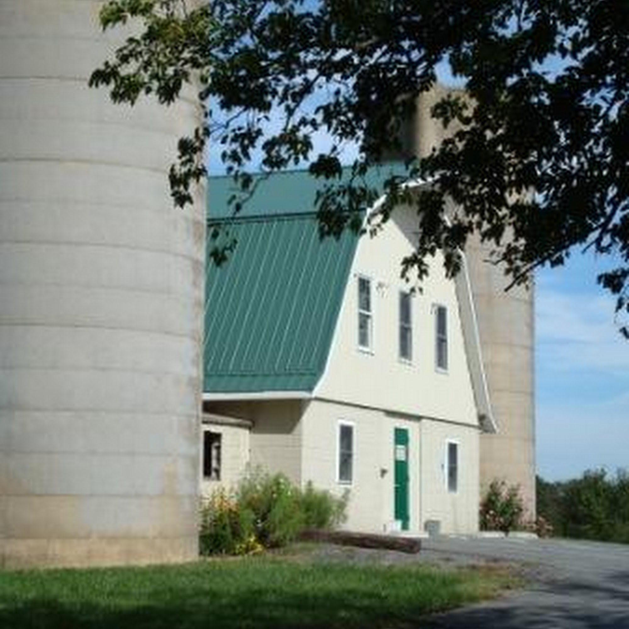 Damascus Equine Associates Mount Airy