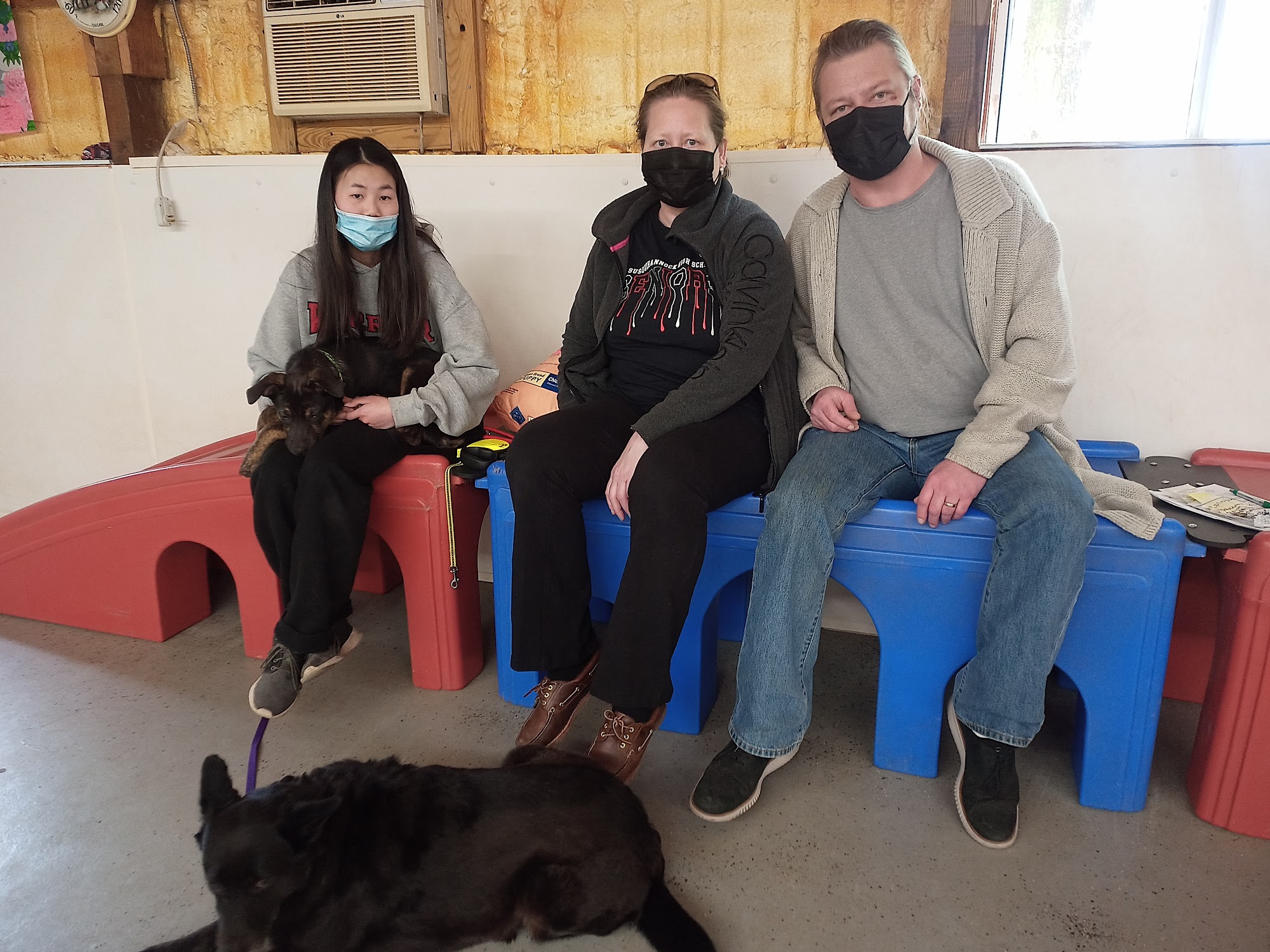 The Country Kennel Inc. Mount Airy