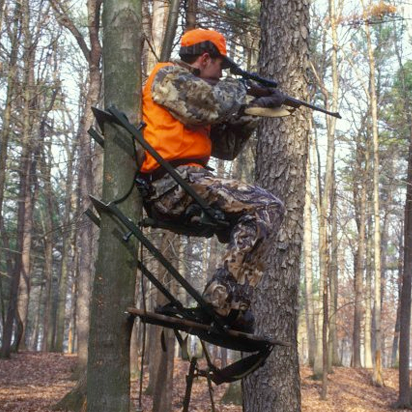 Clint's Cuts Mount Airy