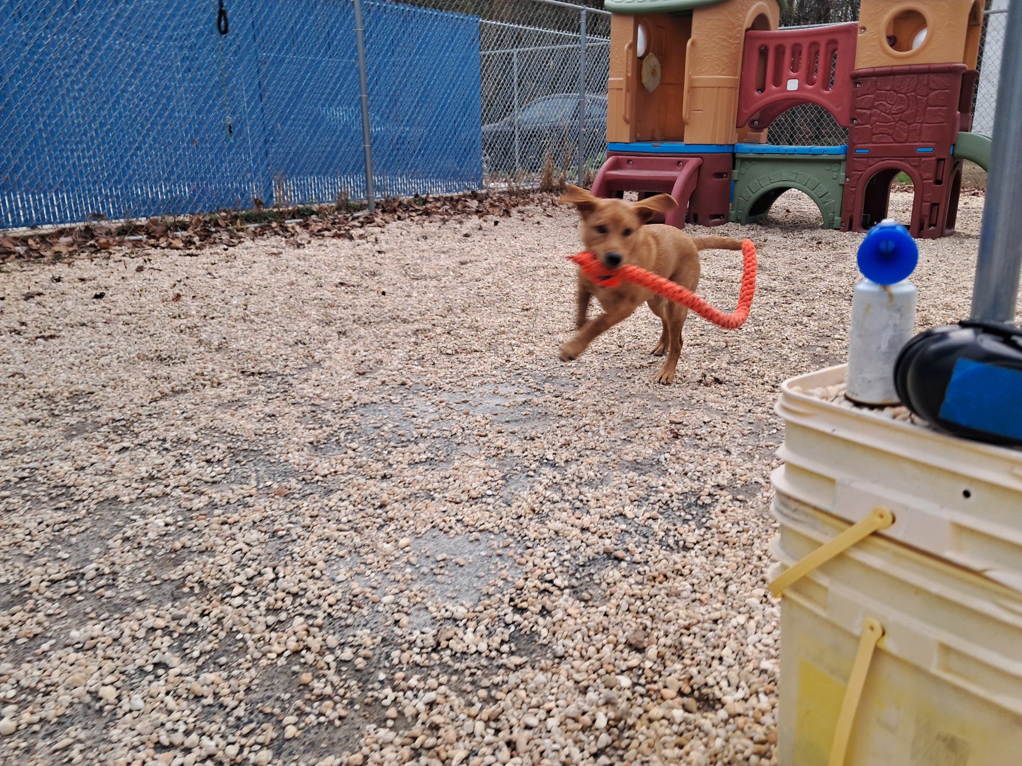 Shady Beach Kennel & Grooming Salon North East