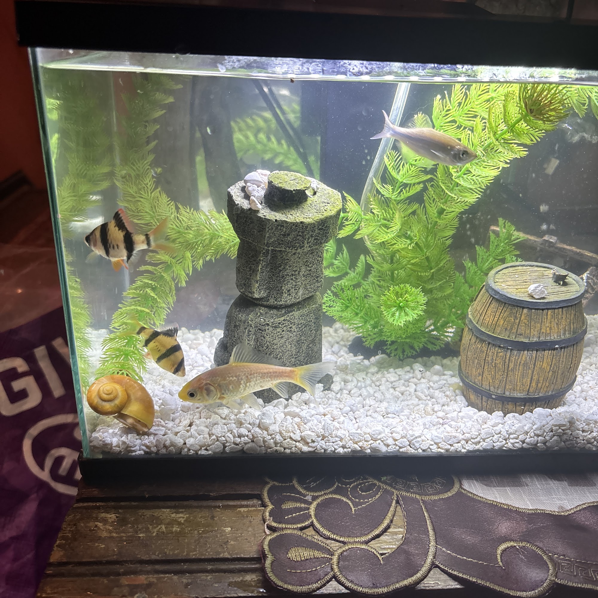 Tom’s Tropicals Nottingham