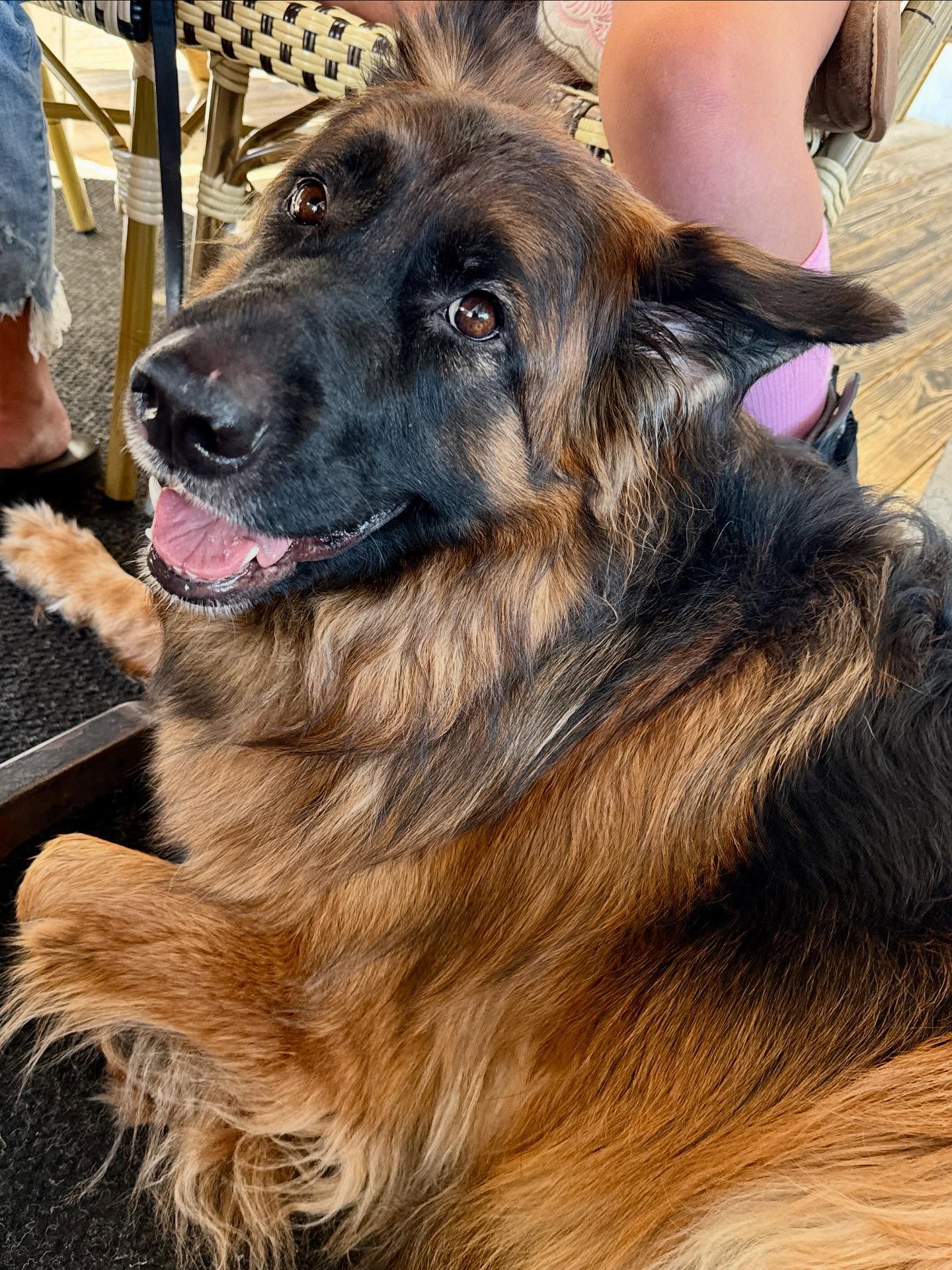 Longboard Cafe Ocean City