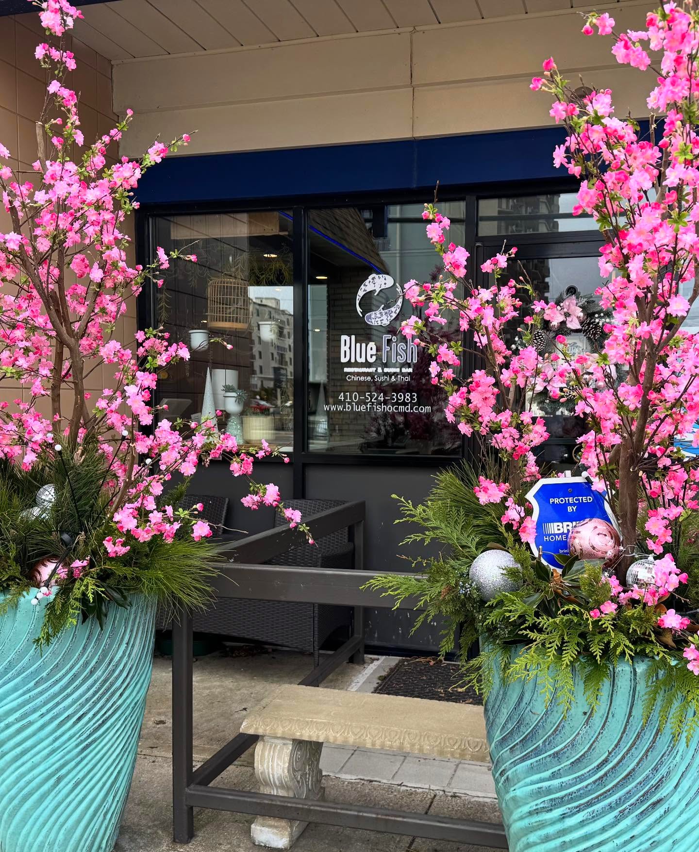 Blue Fish Restaurant & Bar Ocean City