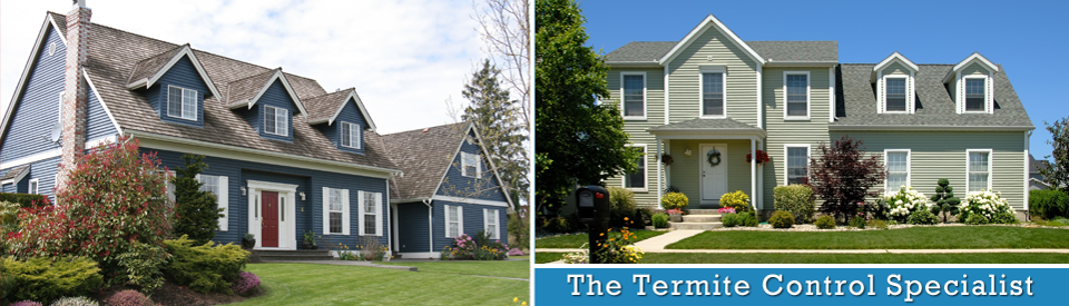 Benware Termite Control 17701 Prince Edward Dr, Olney Maryland 20832