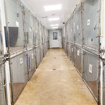 Deer Park Kennels Owings Mills