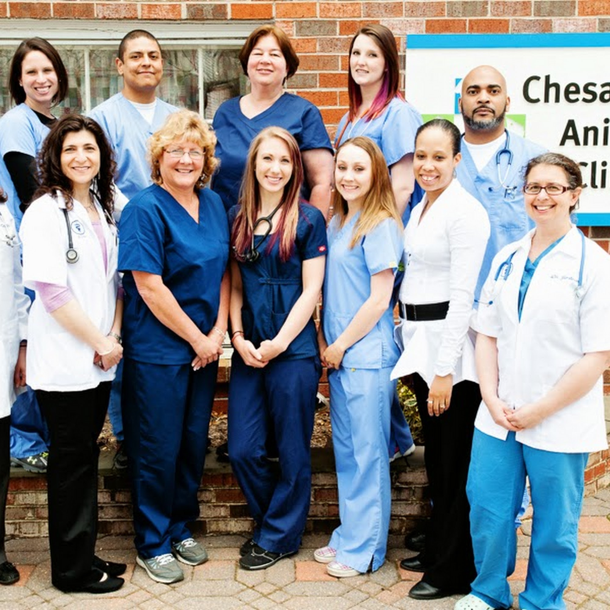 Chesapeake Animal Clinic Owings