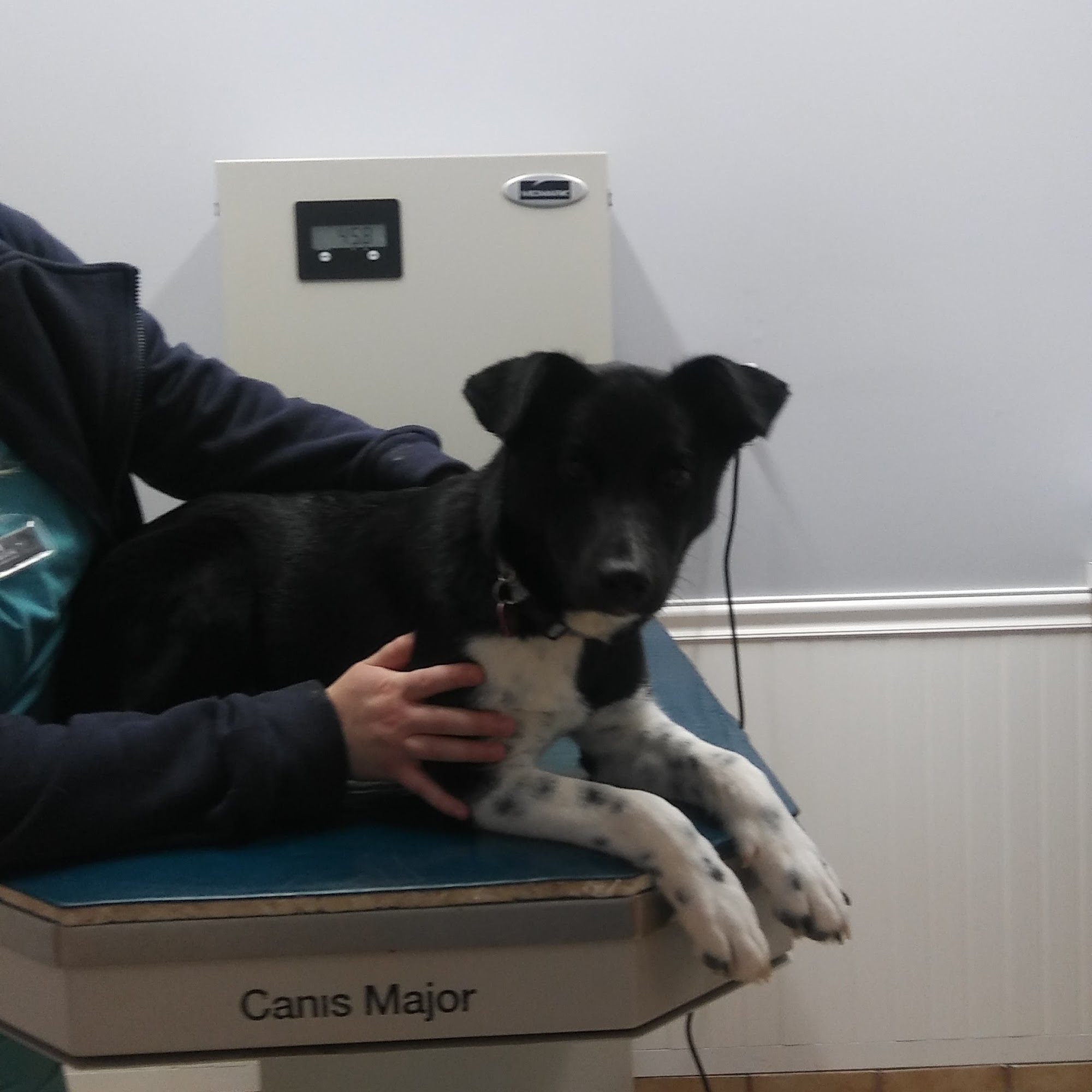 Calvert Animal Hospital Owings