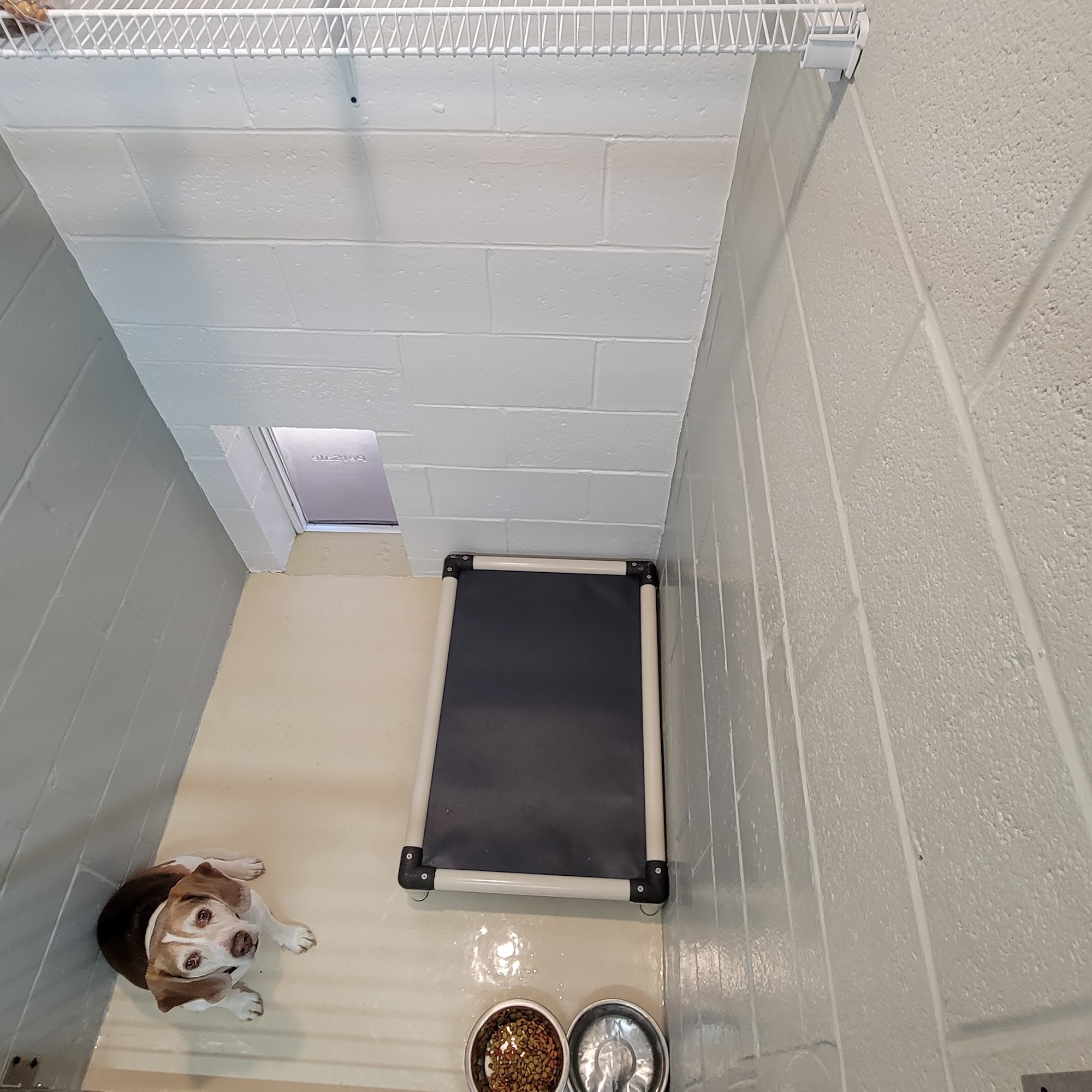 Golden Wood, Oxford Oxford