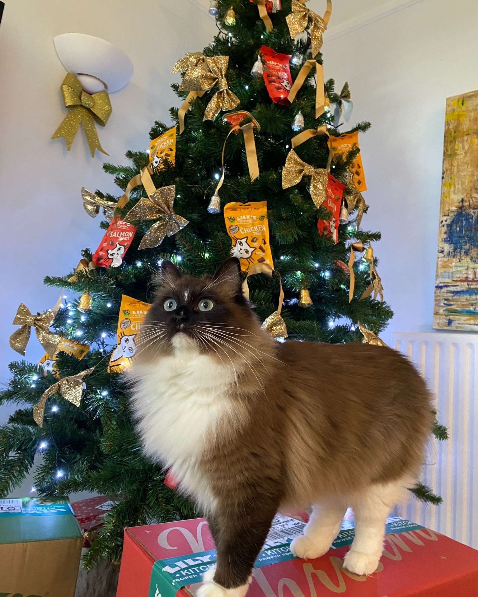 Lily's Kitchen Oxon Hill