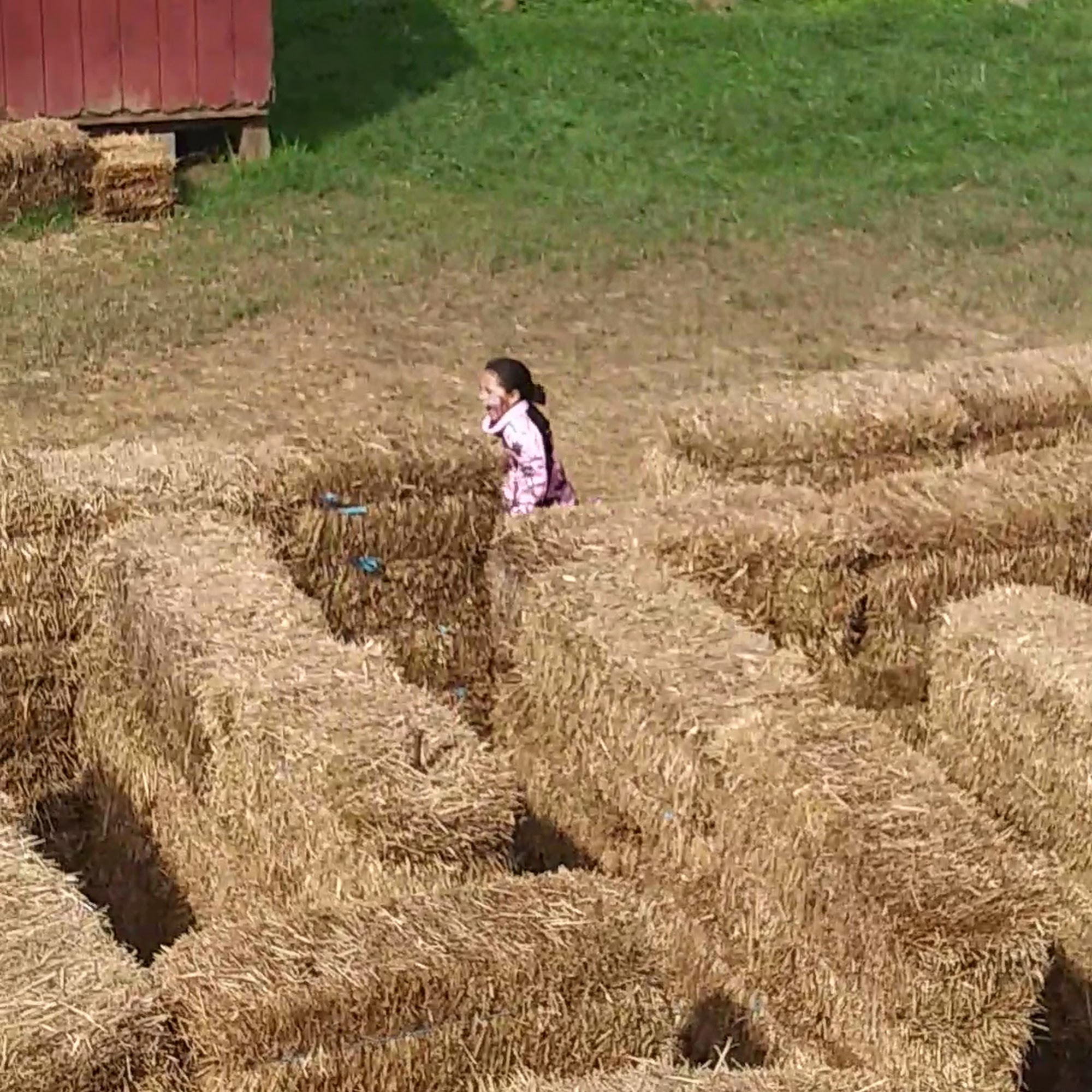 Weber's Cider Mill Farm Inc Parkville