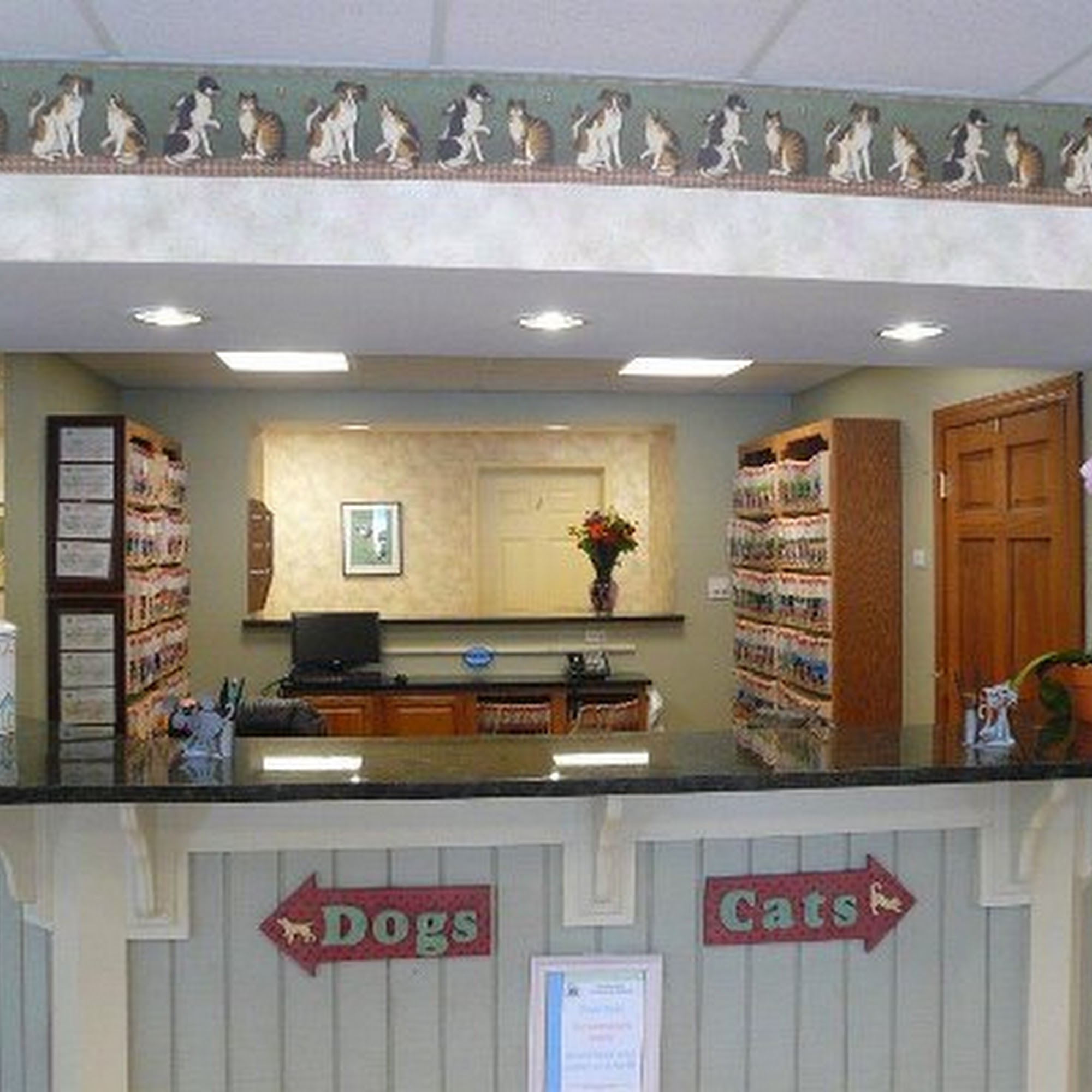 Jacksonville Veterinary Hospital Phoenix