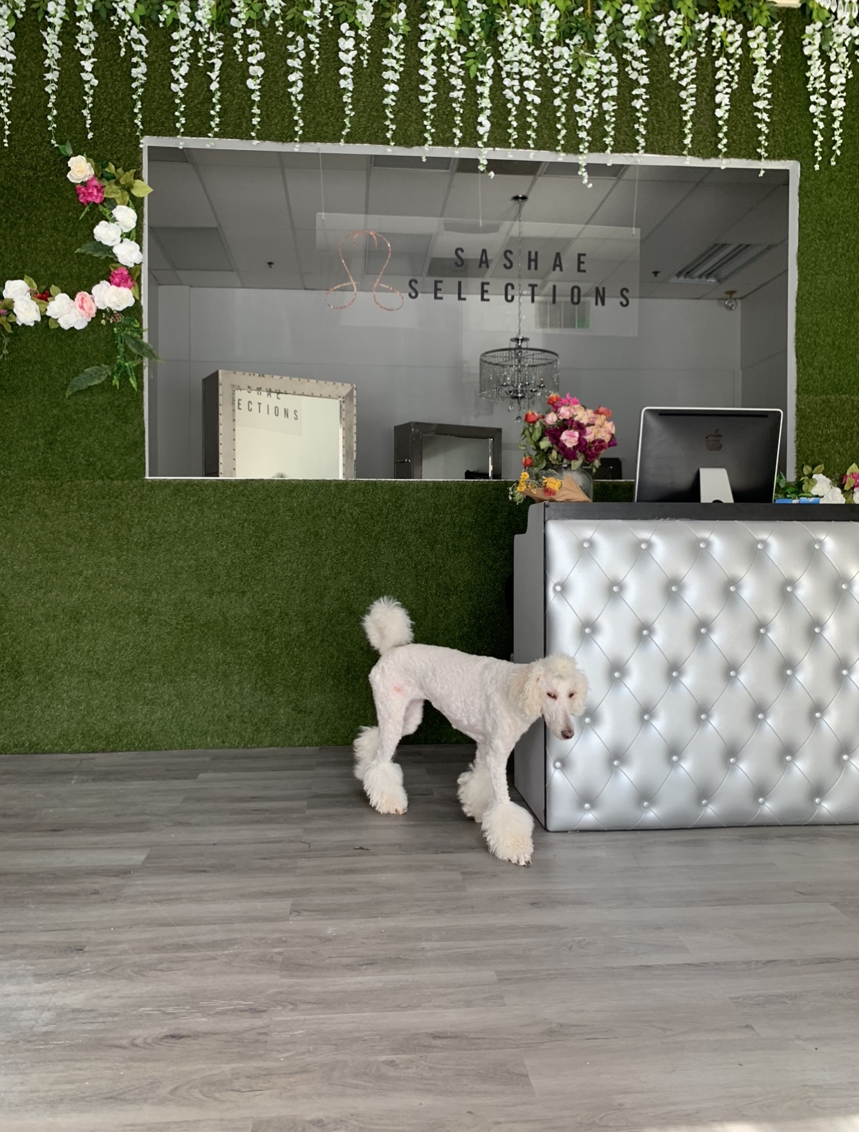 Sashae Selections Pikesville