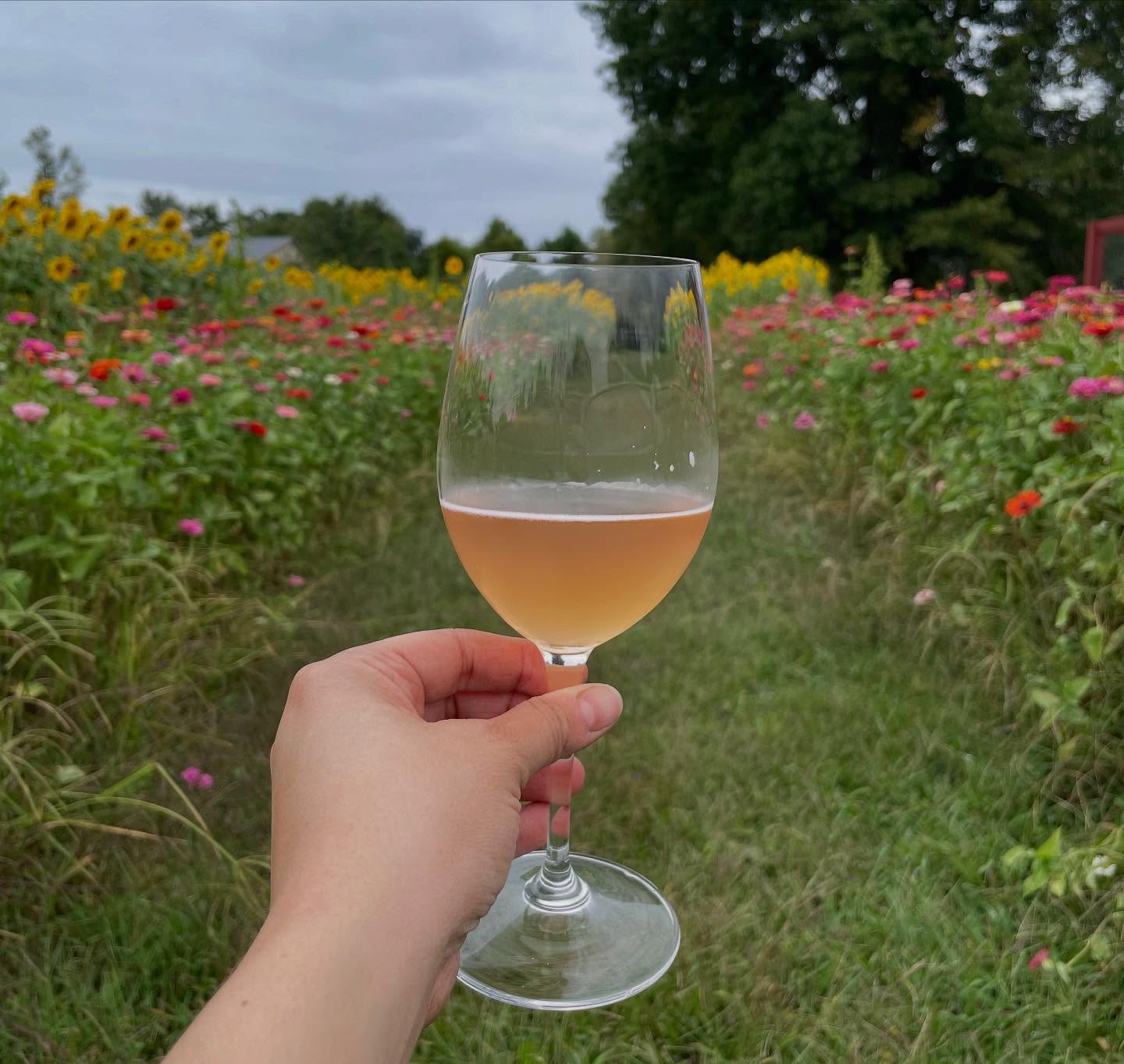 Rocklands Farm Winery Poolesville
