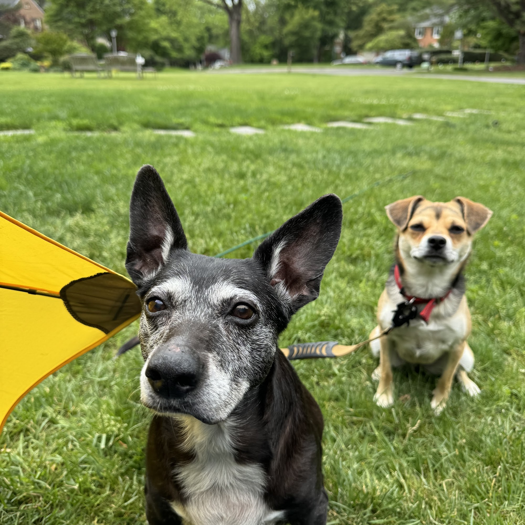 Canal Clinic Potomac