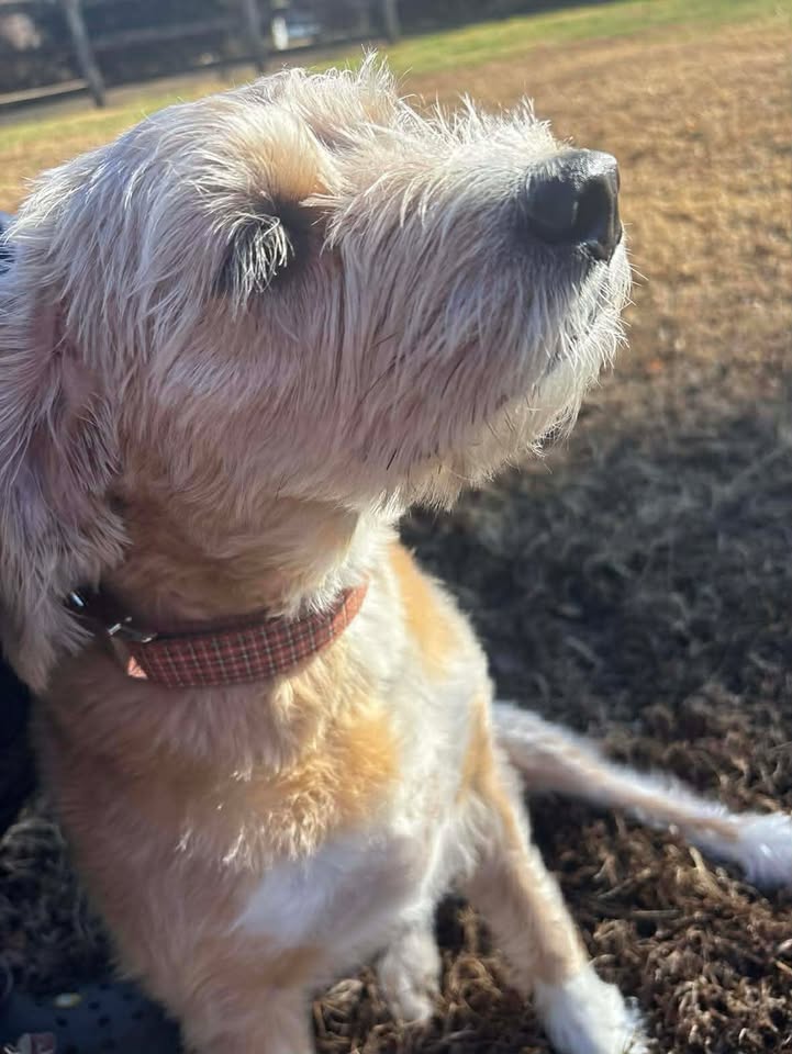 Prince Frederick Kennels Prince Frederick