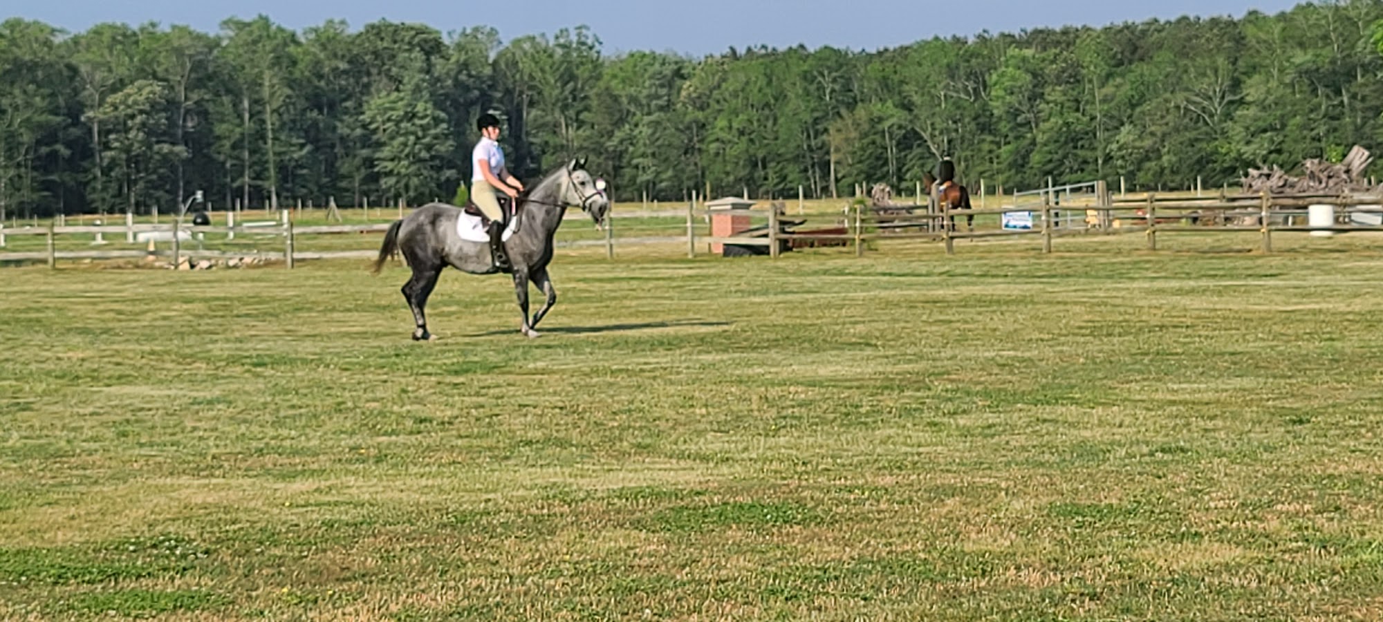 Layfield Veterinary Services Inc Princess Anne