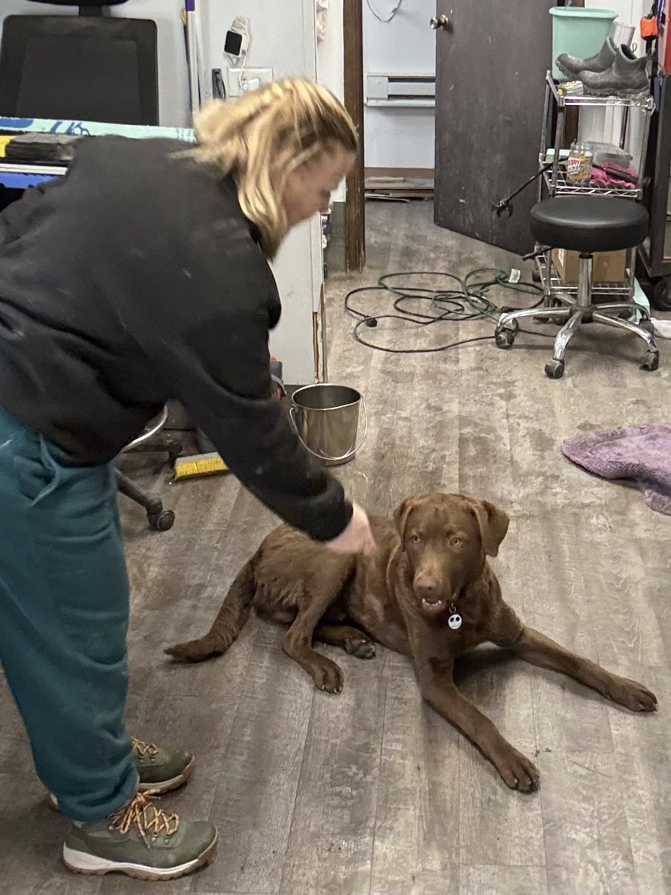 Wye River Kennel - Dog & Cat Boarding Kennel & Dog Daycare Queenstown Queenstown