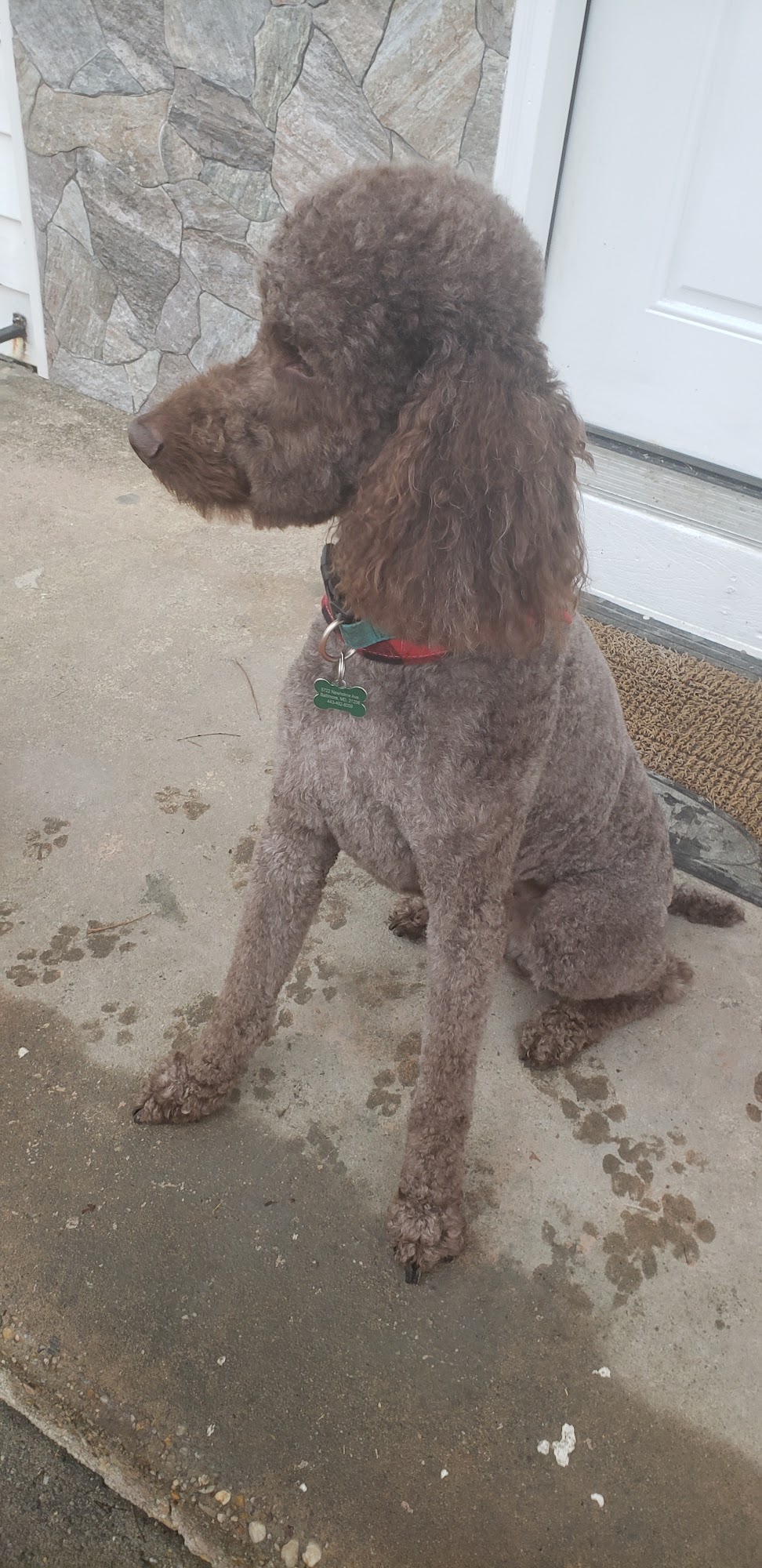 Luxurious&Purrrfect Cutz Randallstown