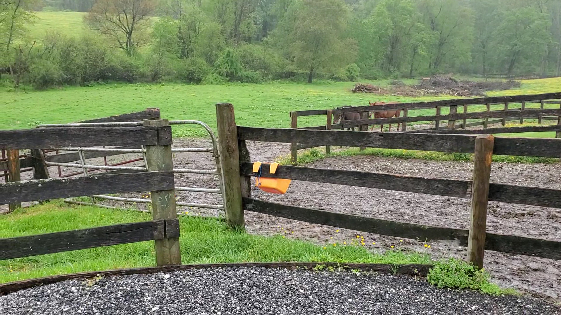 Farmacy Brewing Menu