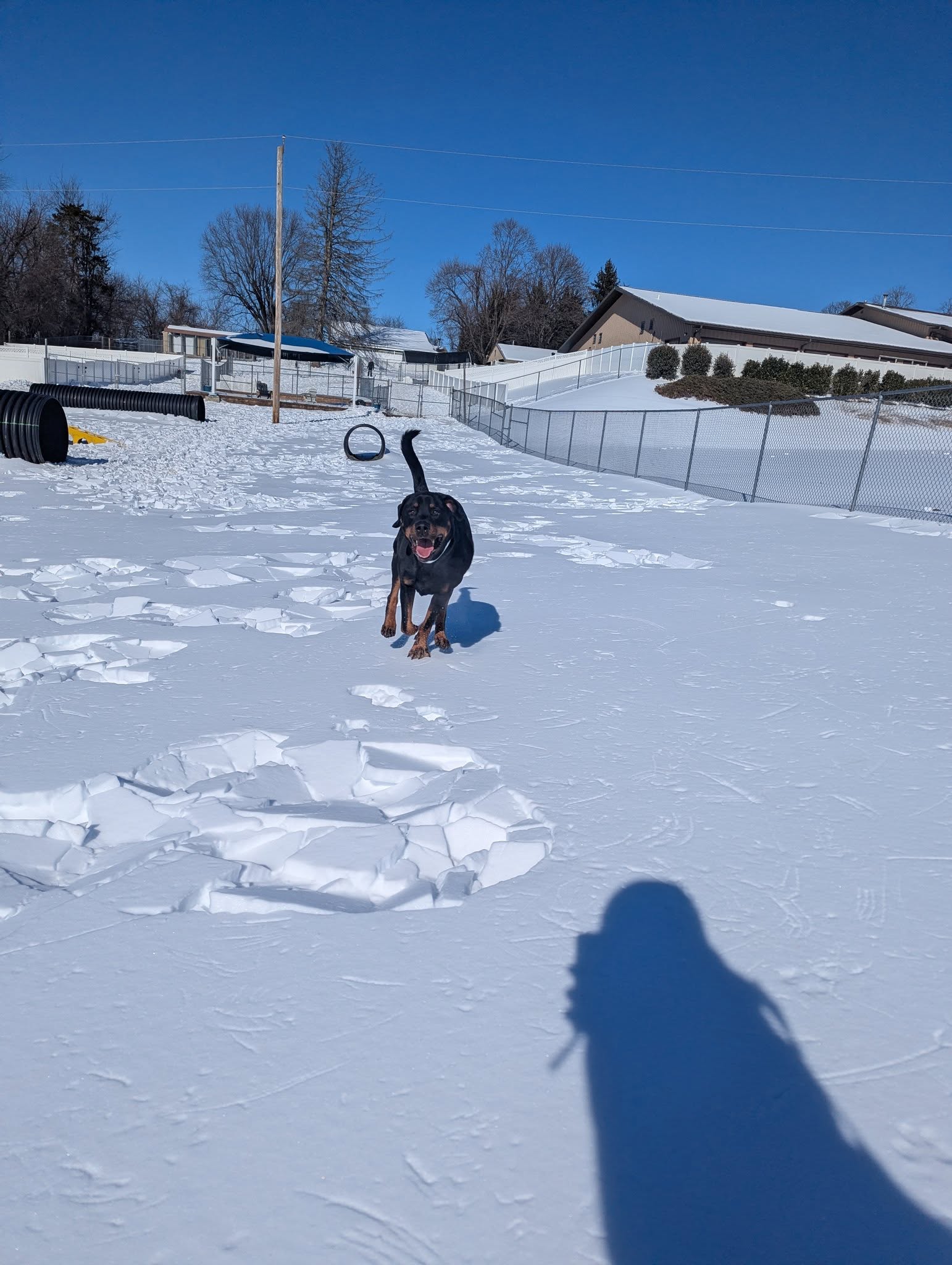 Reisterstown Pet Resort & Spa Reisterstown