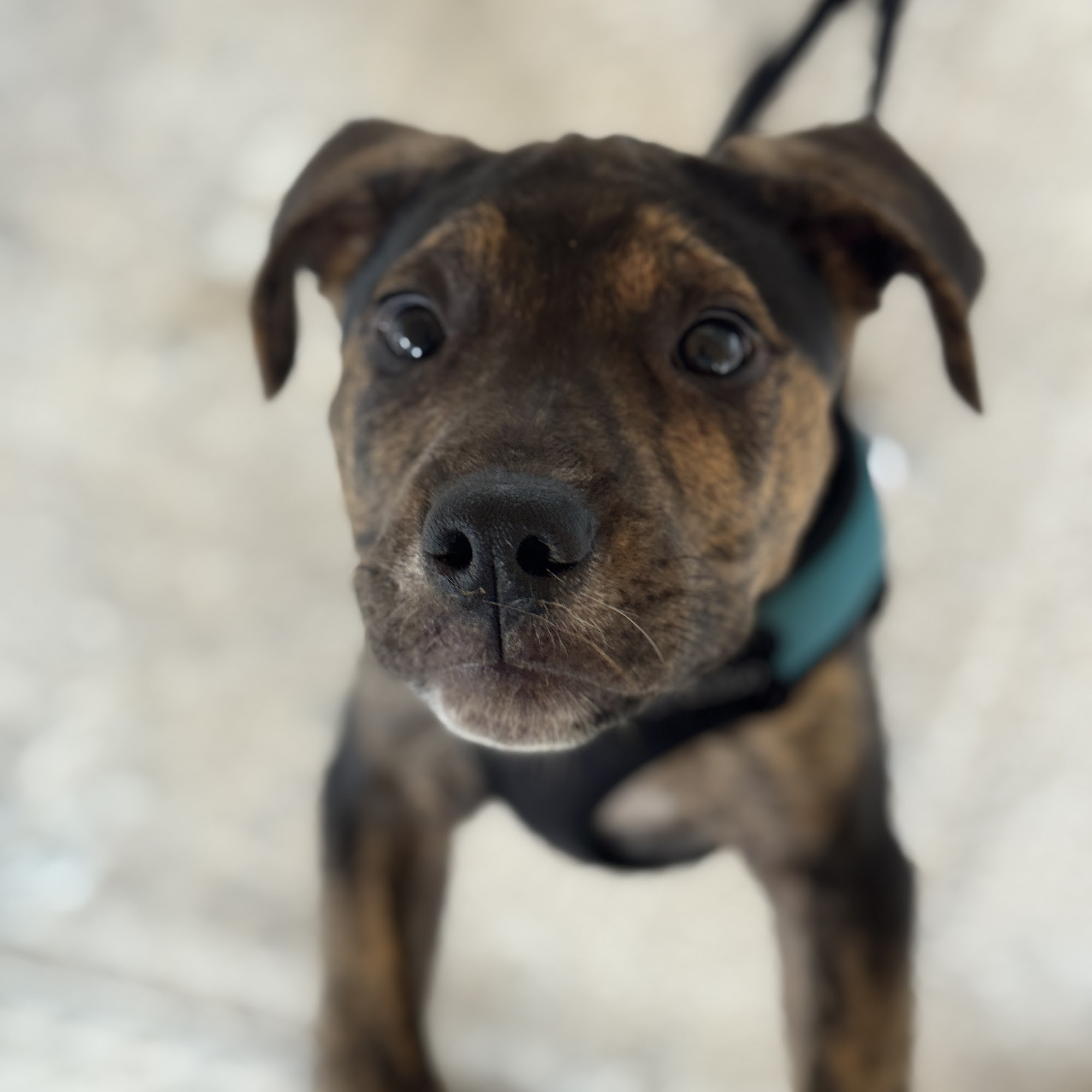 Wilde Acres Reisterstown