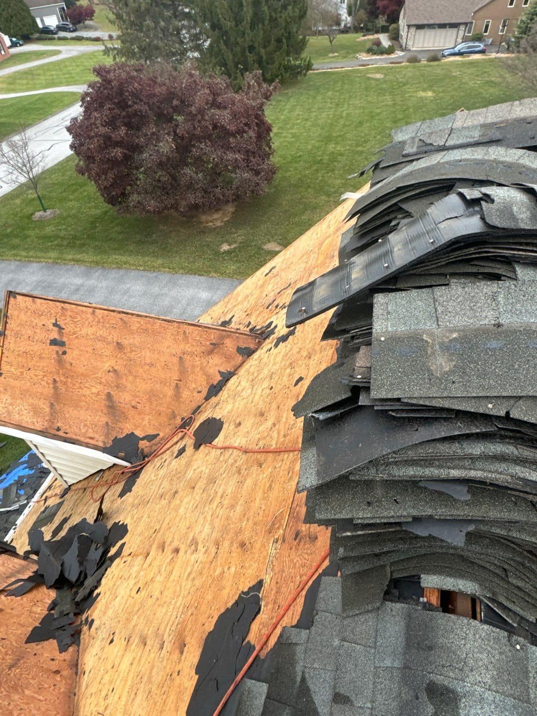 Elvis General Construction LLC