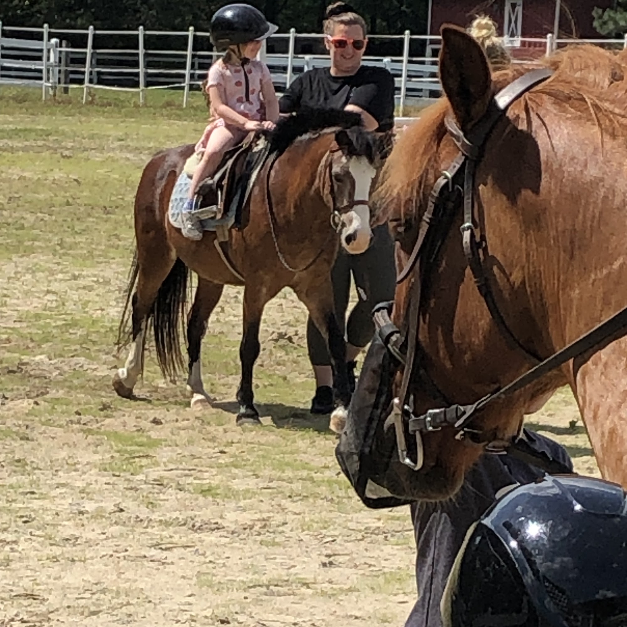 Jewel's Landing Farm Ridgely