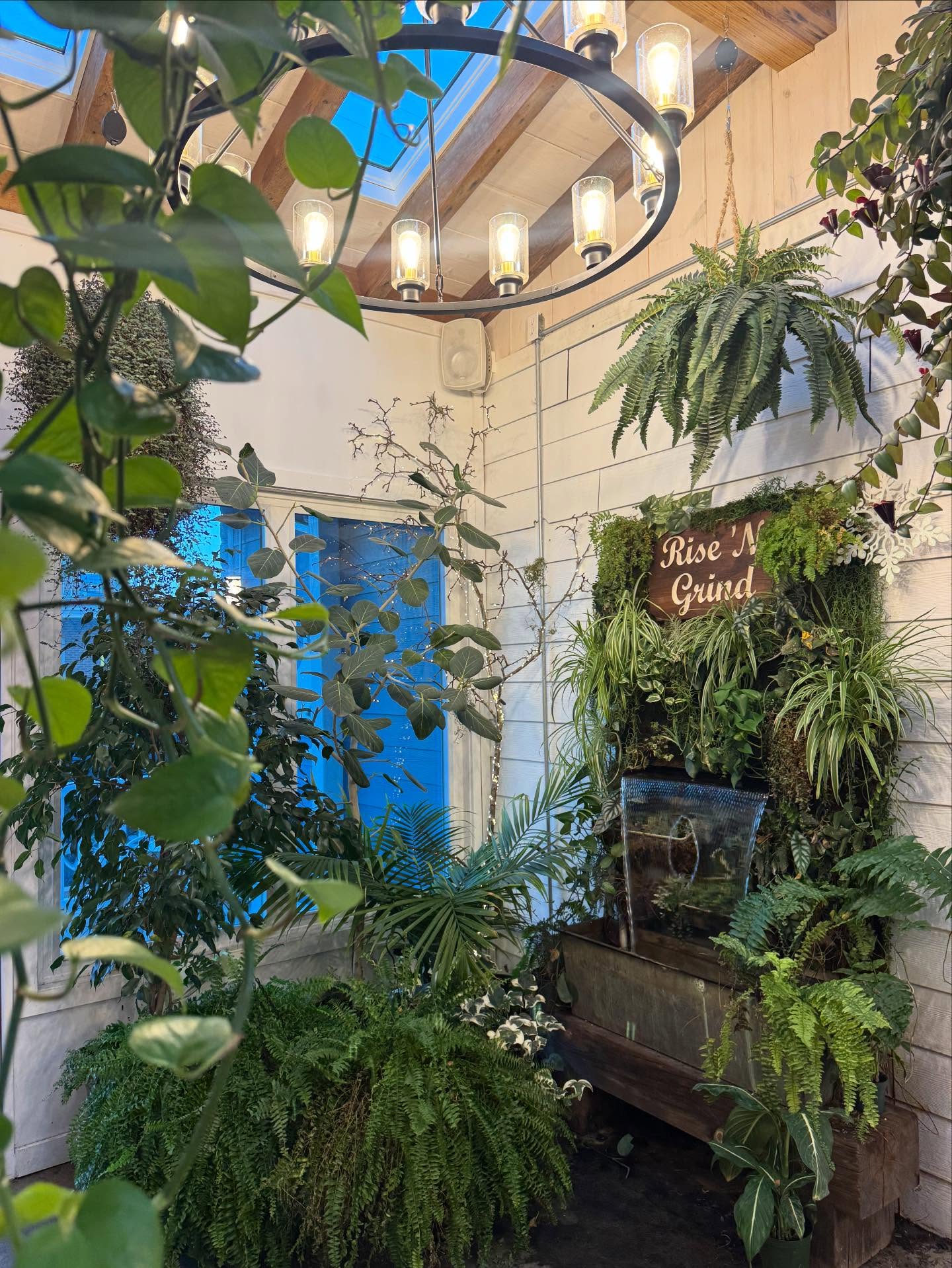 Rise 'N Grind Cafe Rising Sun