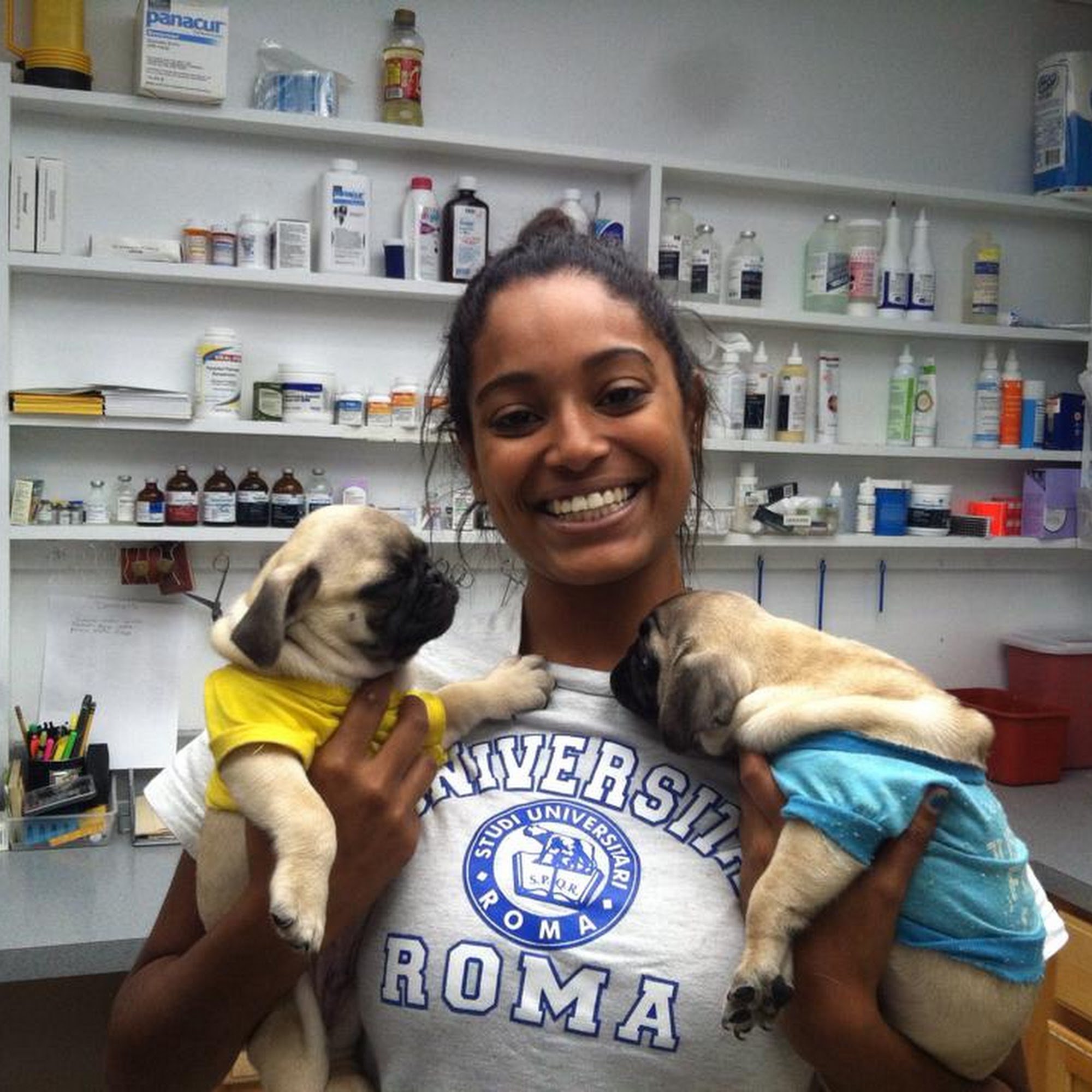 Kenhaven Animal Hospital Rockville