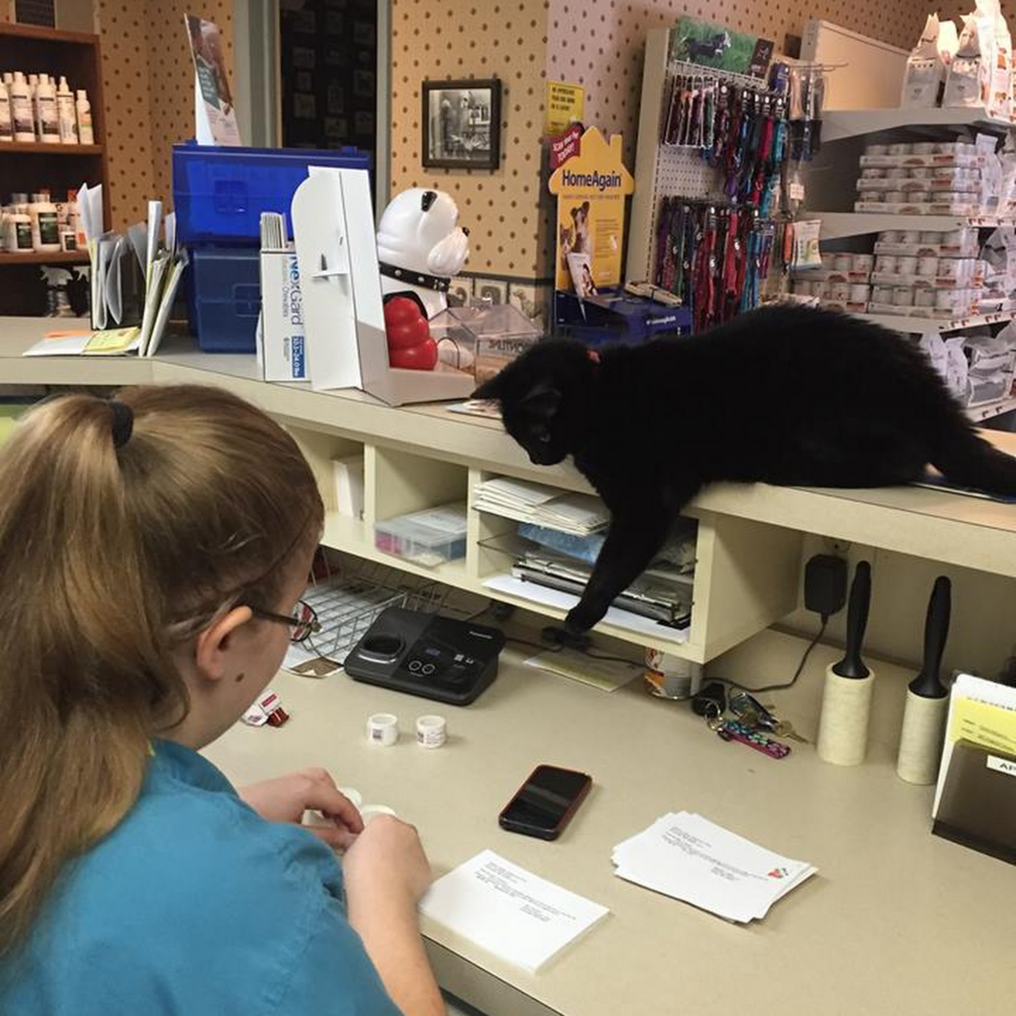 Flower Valley Veterinary Clinic Rockville