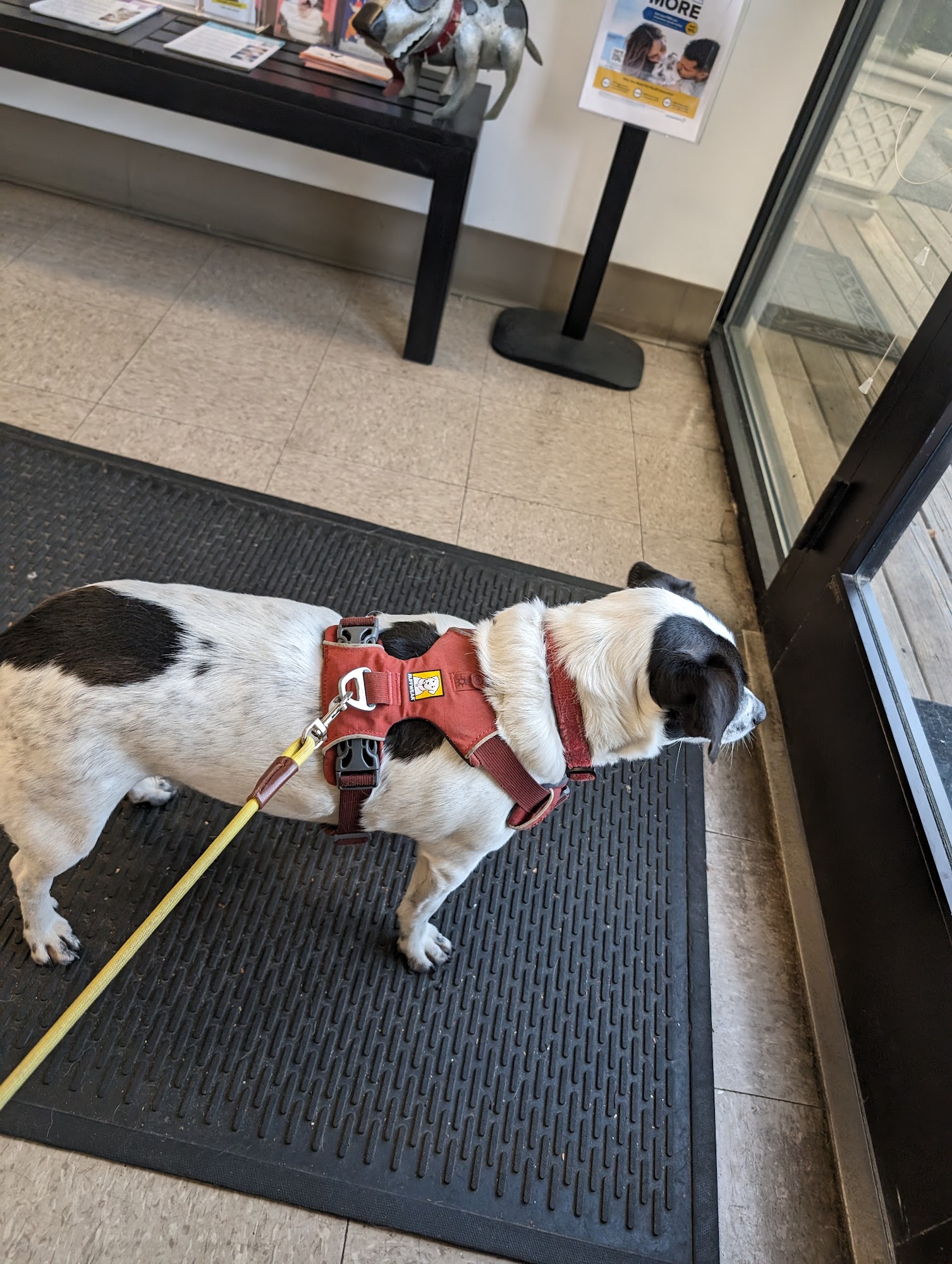 Nebel St. Animal Hospital Rockville