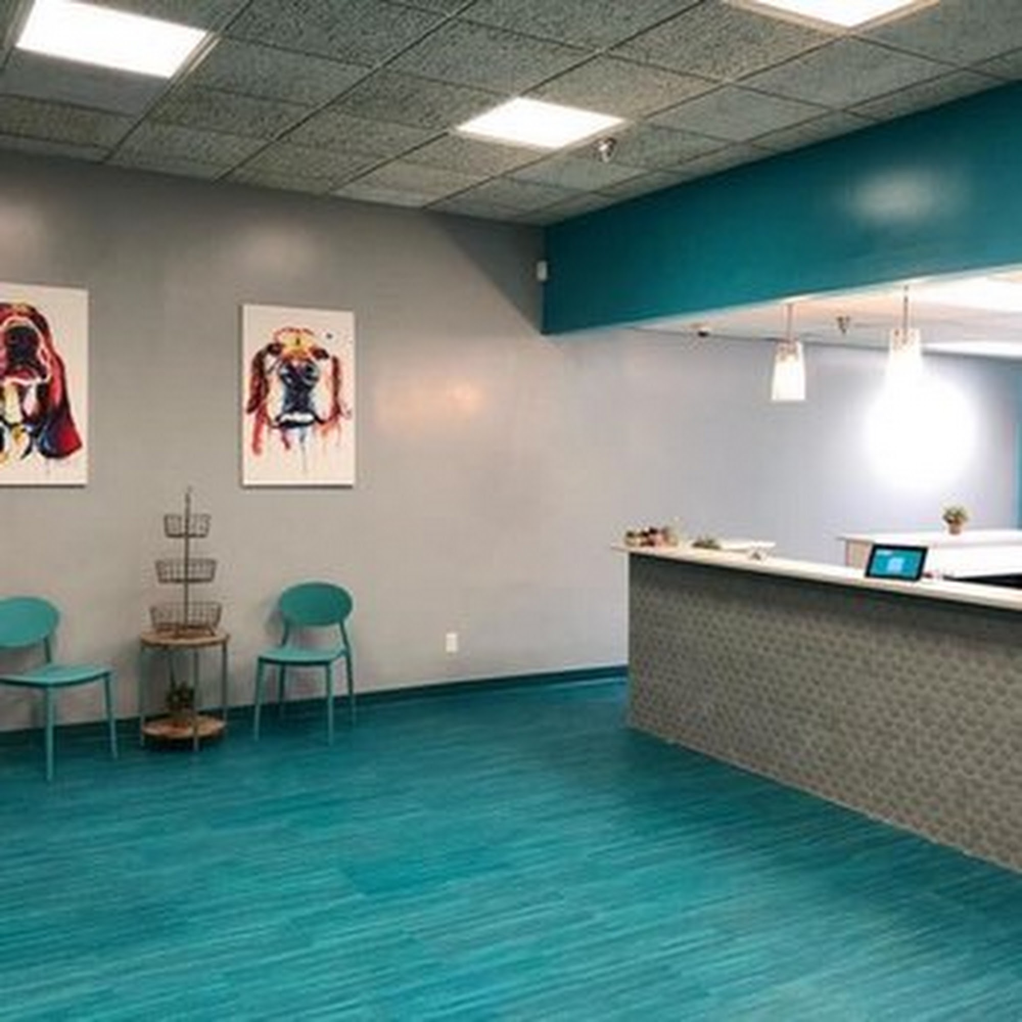 SNIFFERS Doggie Retreat Rockville