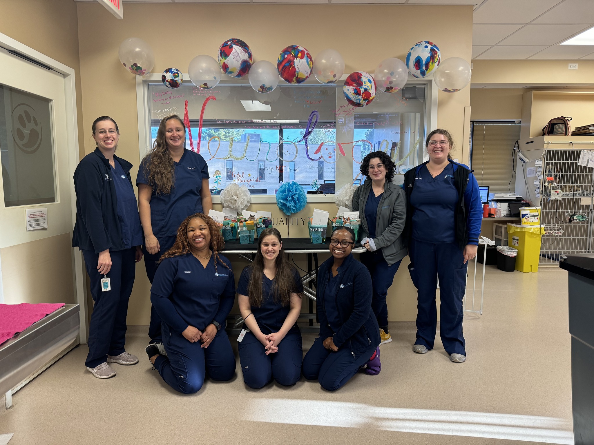 Bush Veterinary Neurology Service (BVNS) - Rockville Rockville