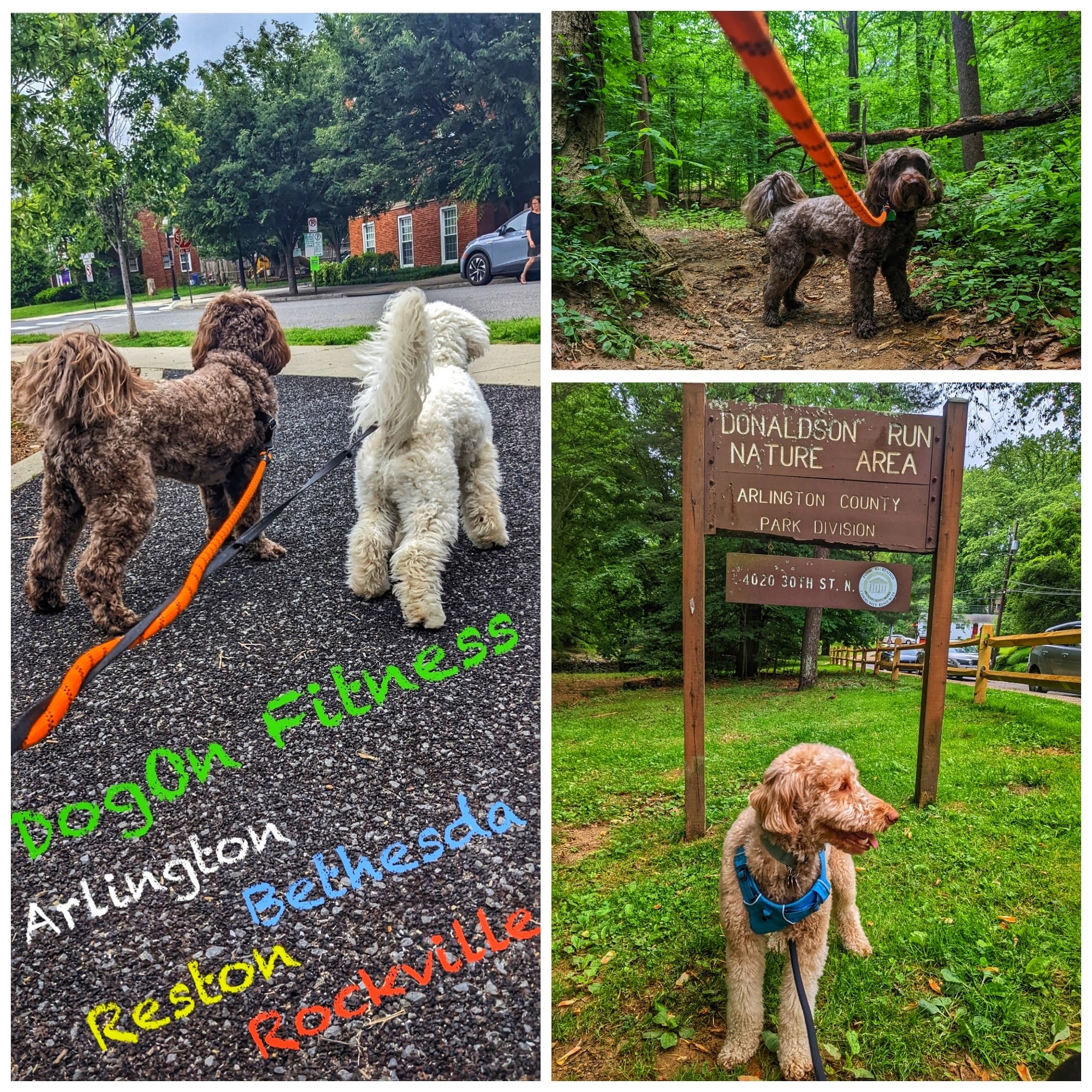 DogOn Fitness Rockville