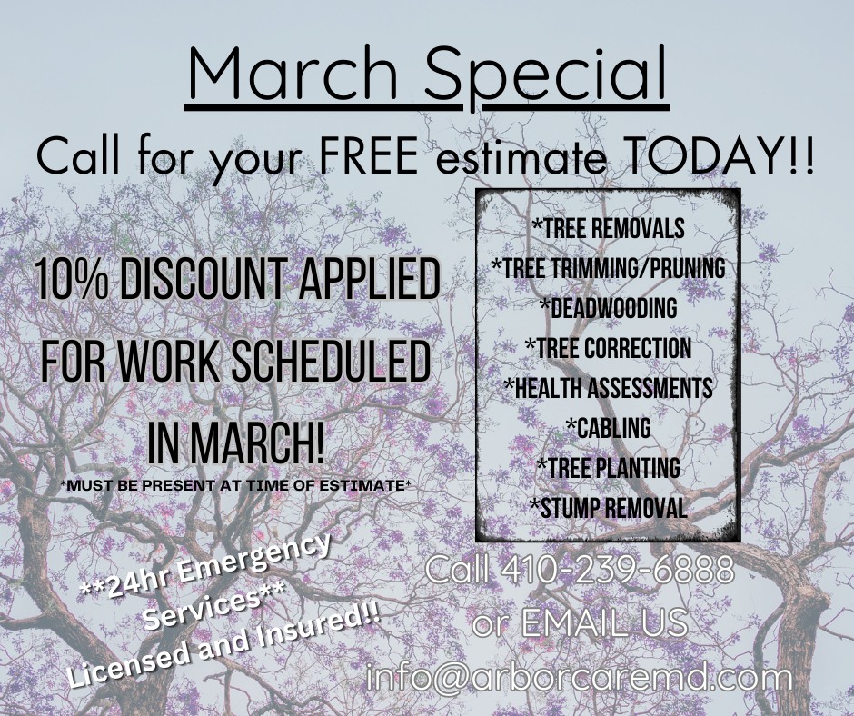 ArborCare Tree Specialists