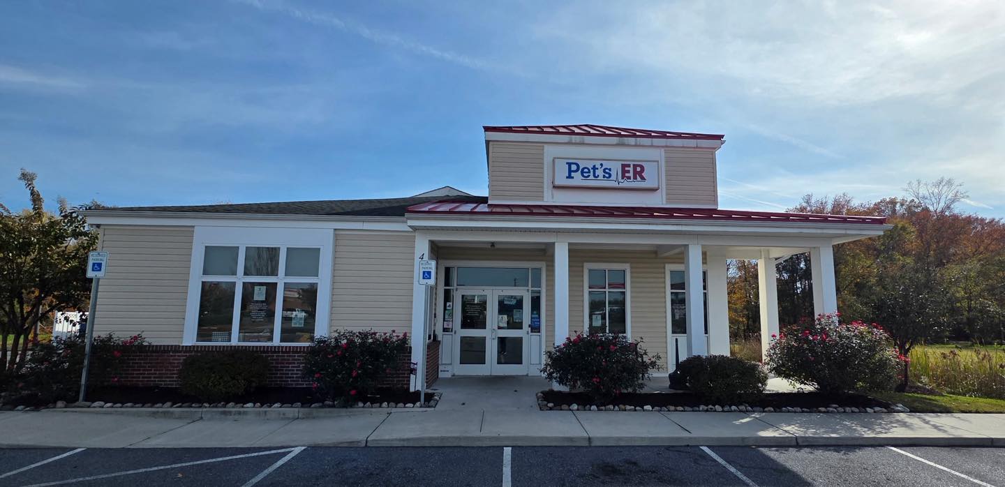 Pets Er - Elizabeth Drewer DVM