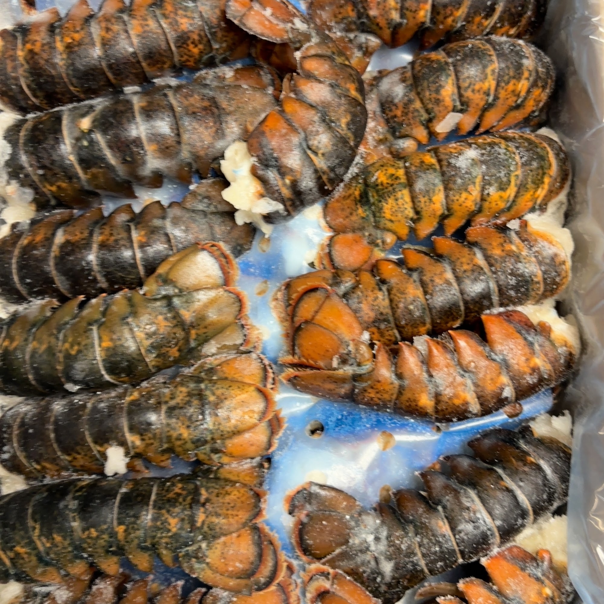 Total Fine Foods Outlet Store #2 Salisbury