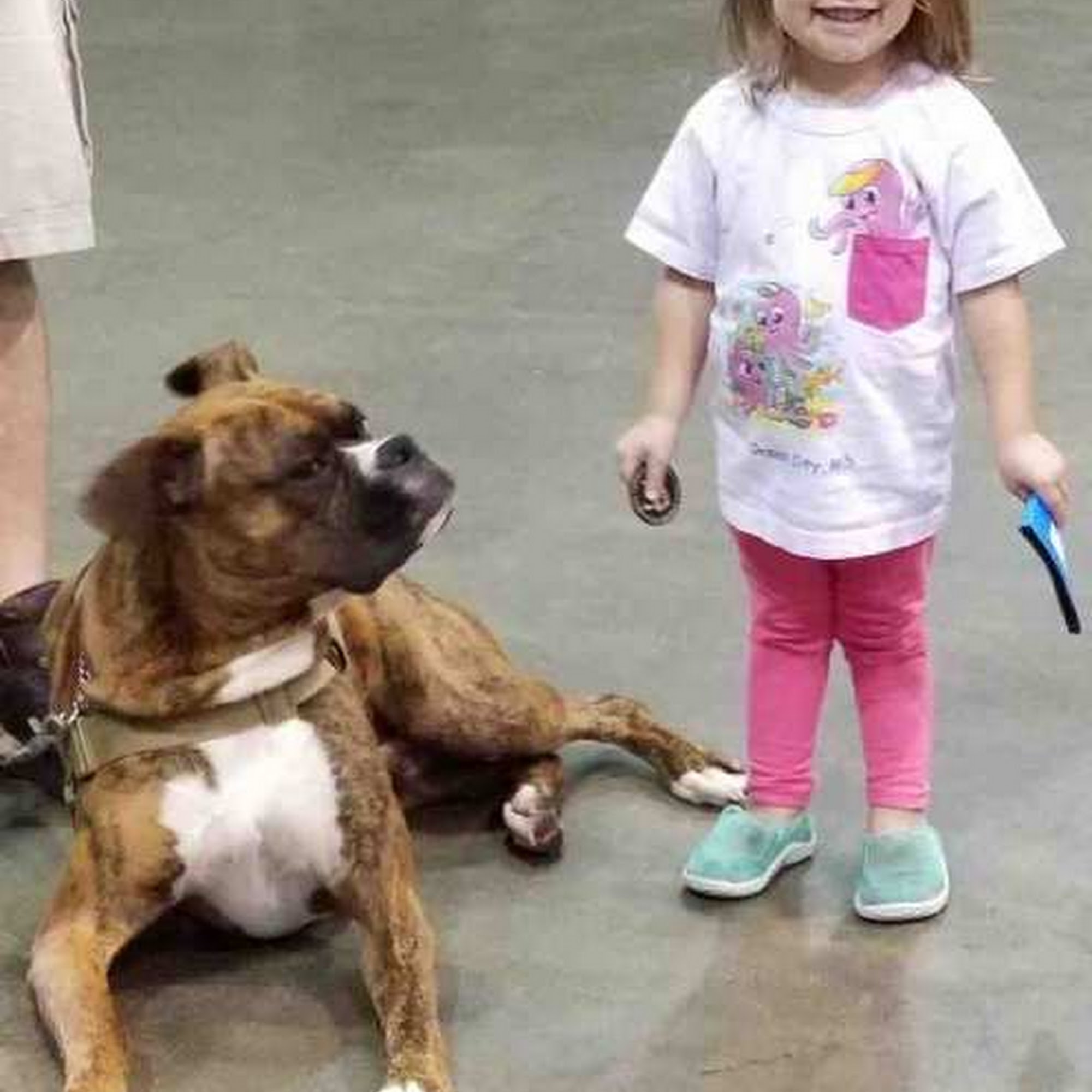 US Kennels Inc. Salisbury